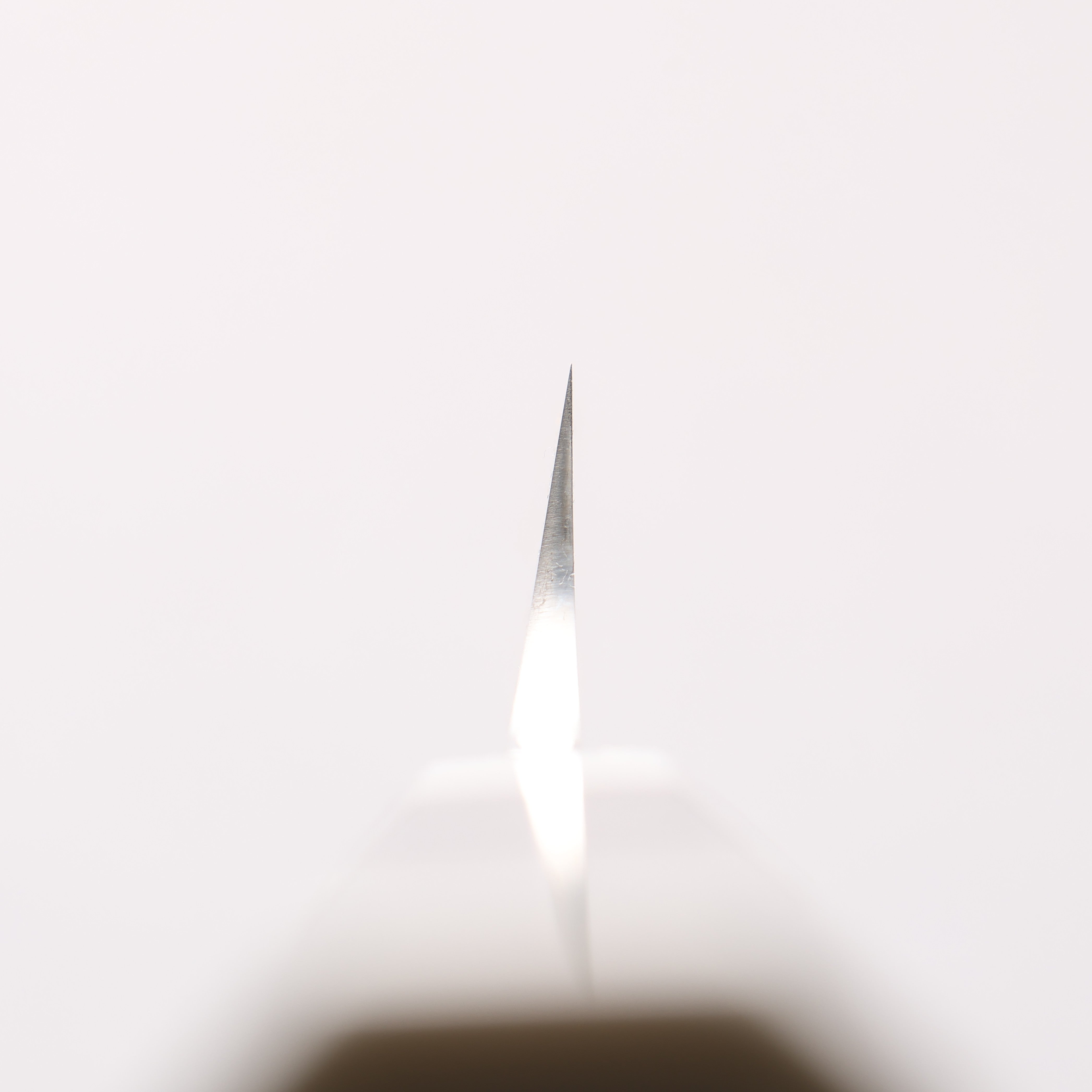 Sakai Takayuki Ginryu Honyaki Swedish Steel Mirrored Finish Kengata Yanagiba 300mm Ebony Wood Handle with Sheath - Japanny - Best Japanese Knife