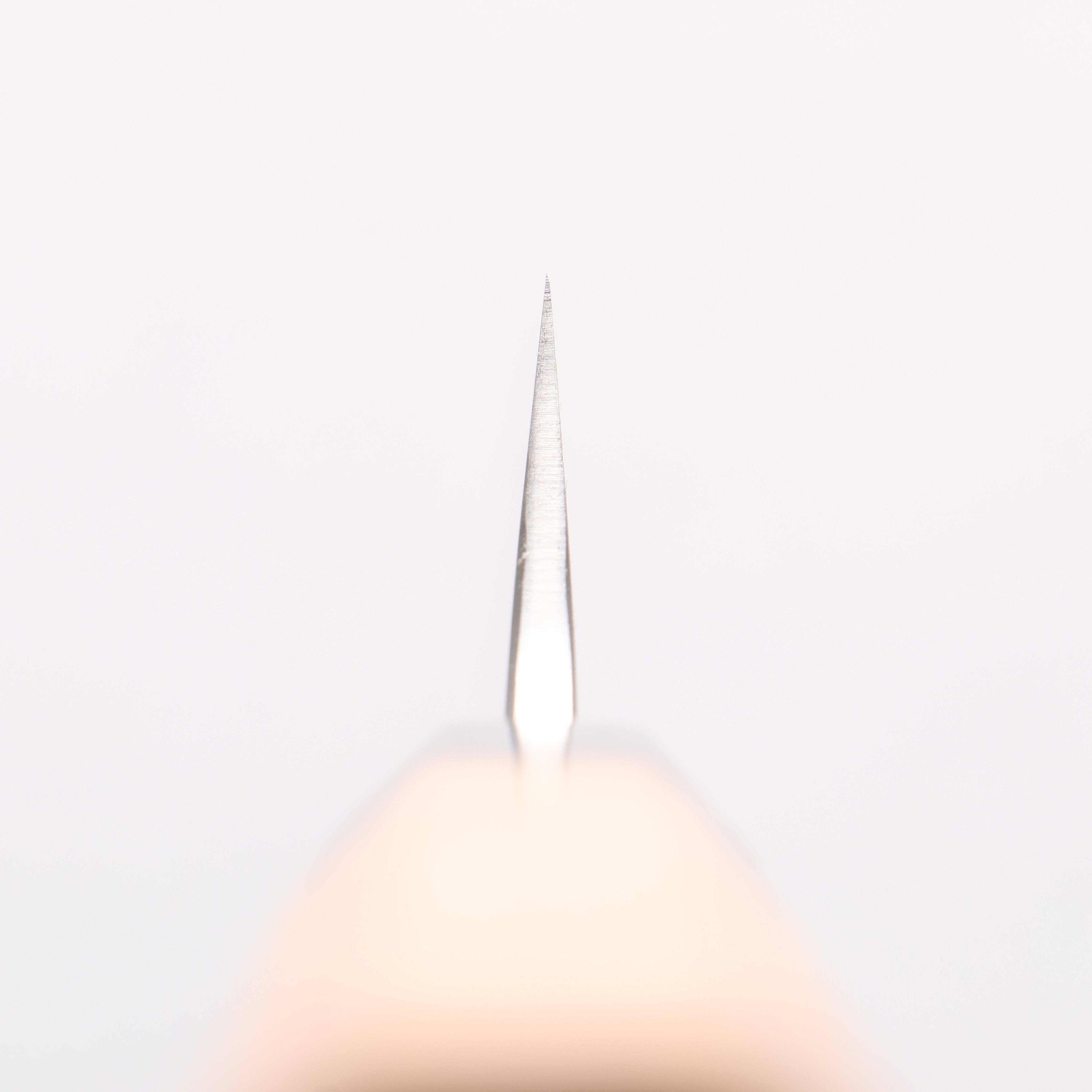 Sakai Takayuki Homura Hien Blue Steel No.2 Kengata Yanagiba 300mm Yew Tree Handle - Japanny - Best Japanese Knife