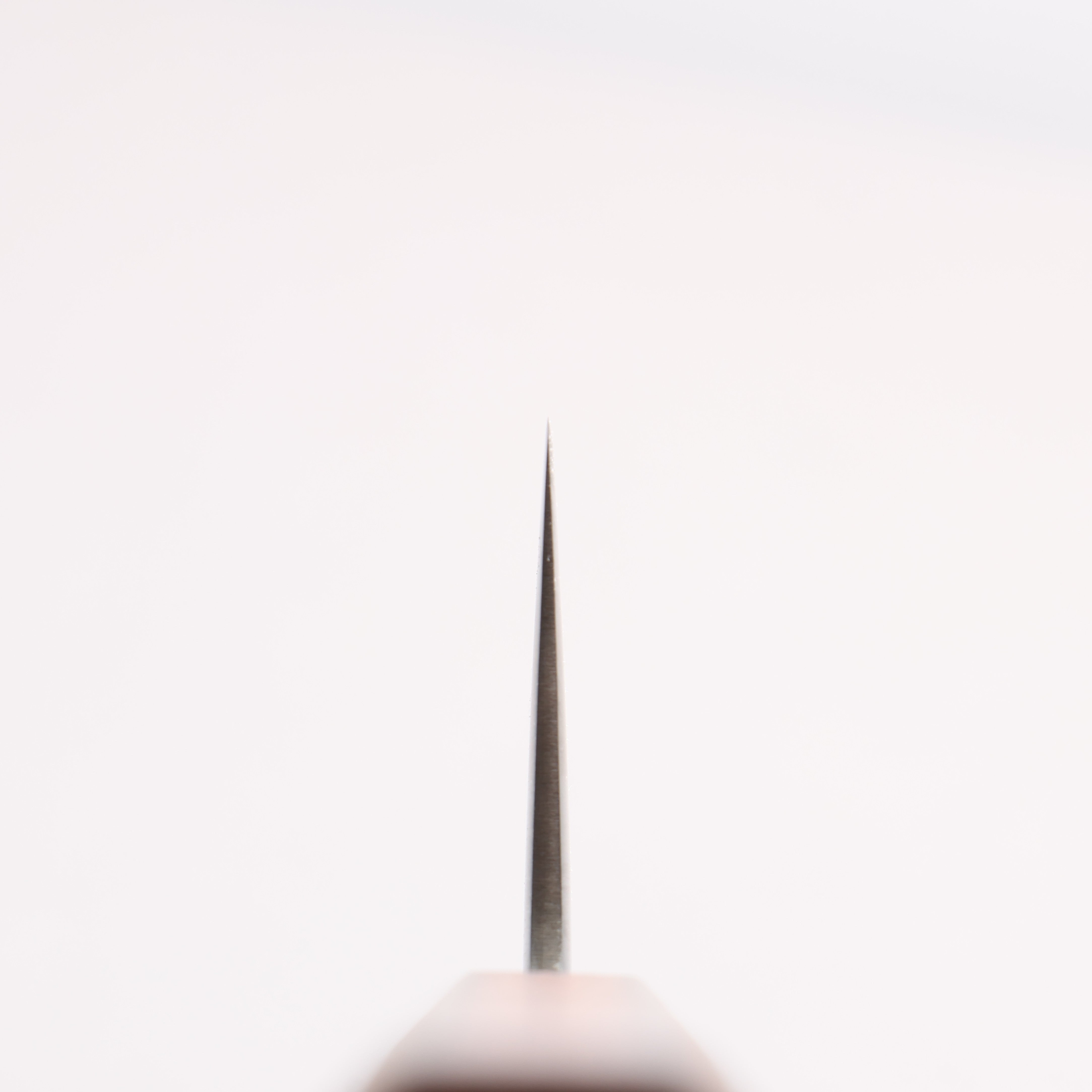 Oul White Steel No.1 Gyuto 240mm Oak (Baikoku / Soot Black) Handle - Japanny - Best Japanese Knife