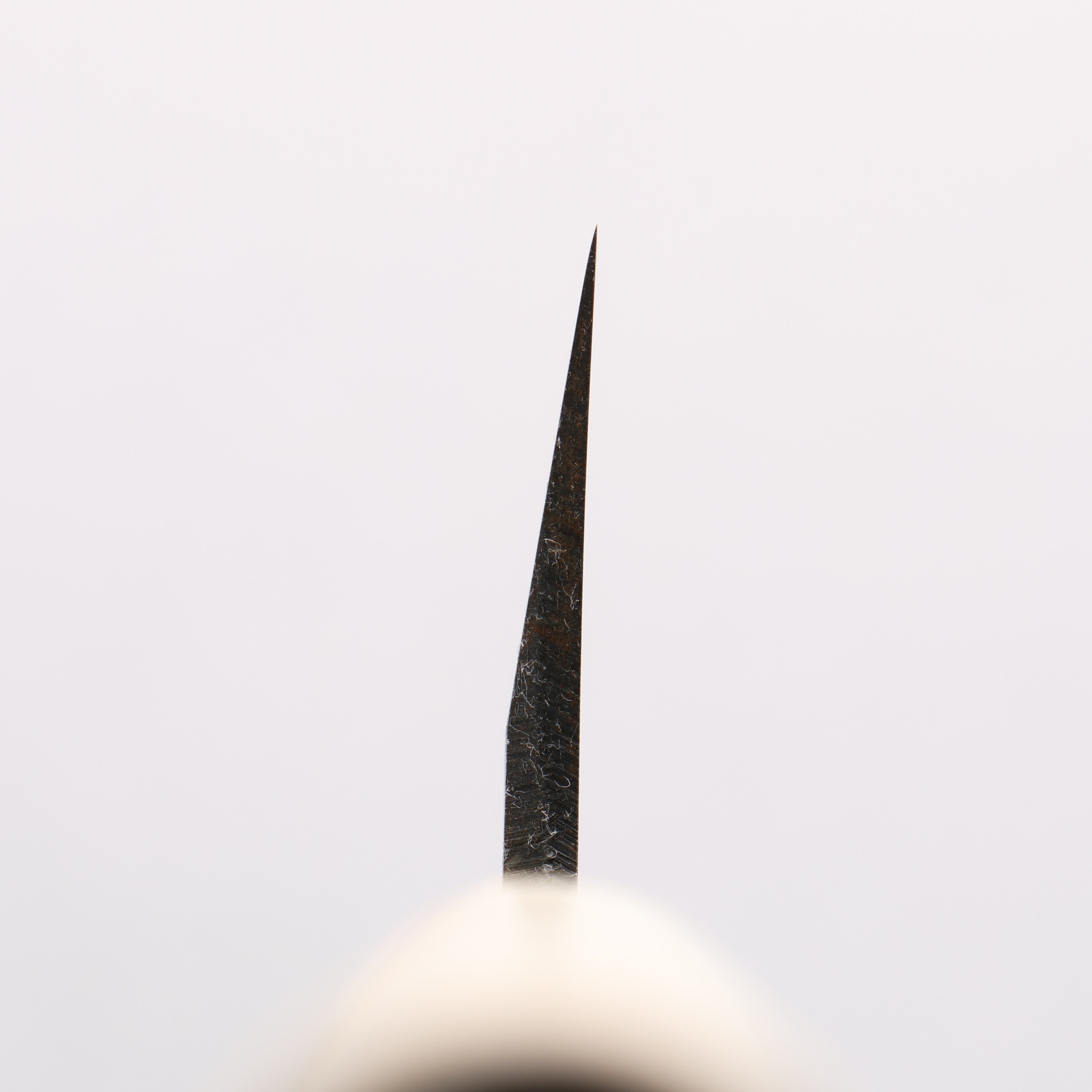 Sakai Takayuki Kasumitogi White Steel Usuba Magnolia Handle - Japanny - Best Japanese Knife