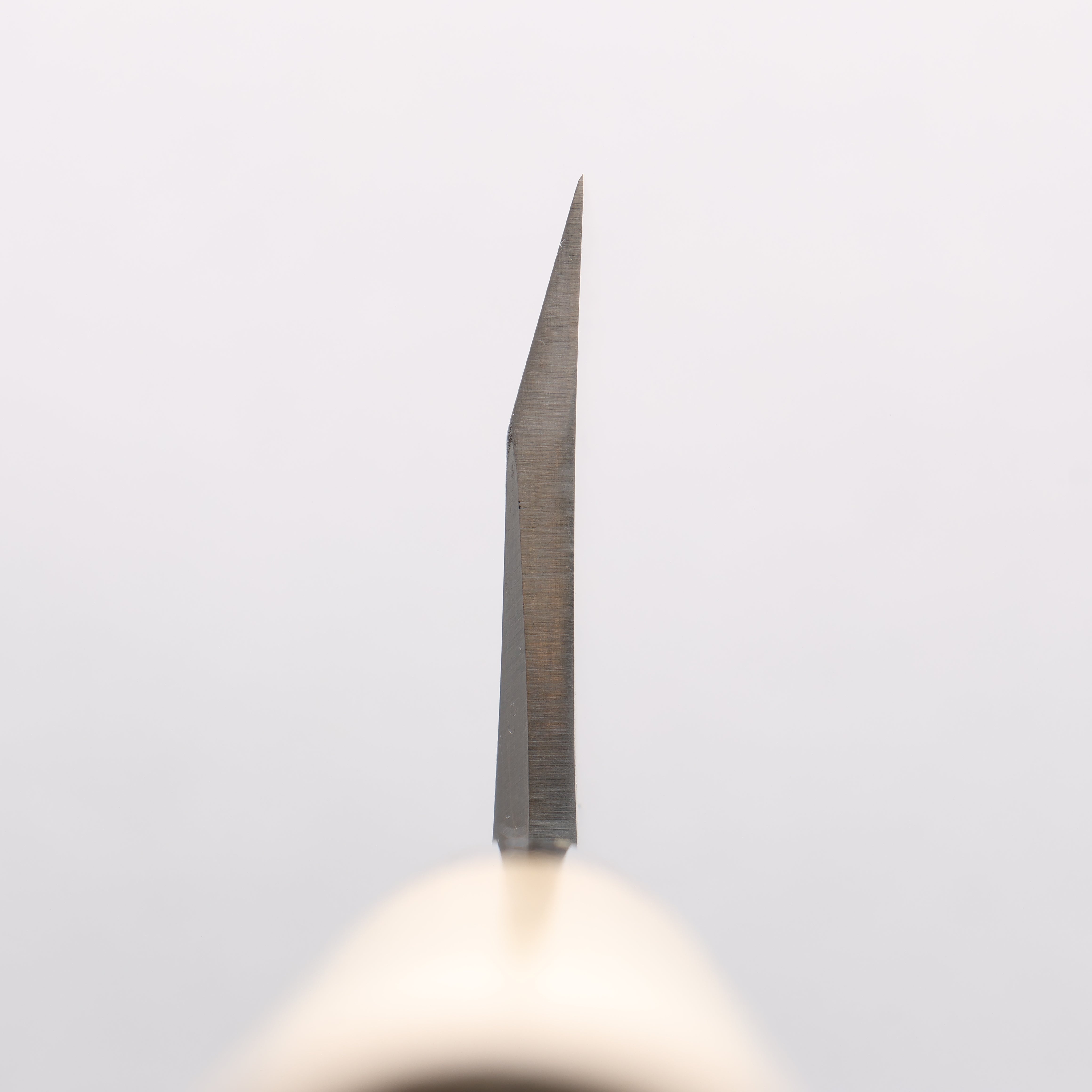 Sakai Takayuki Uzushio White Steel No.2 Deba Magnolia Handle - Japanny - Best Japanese Knife