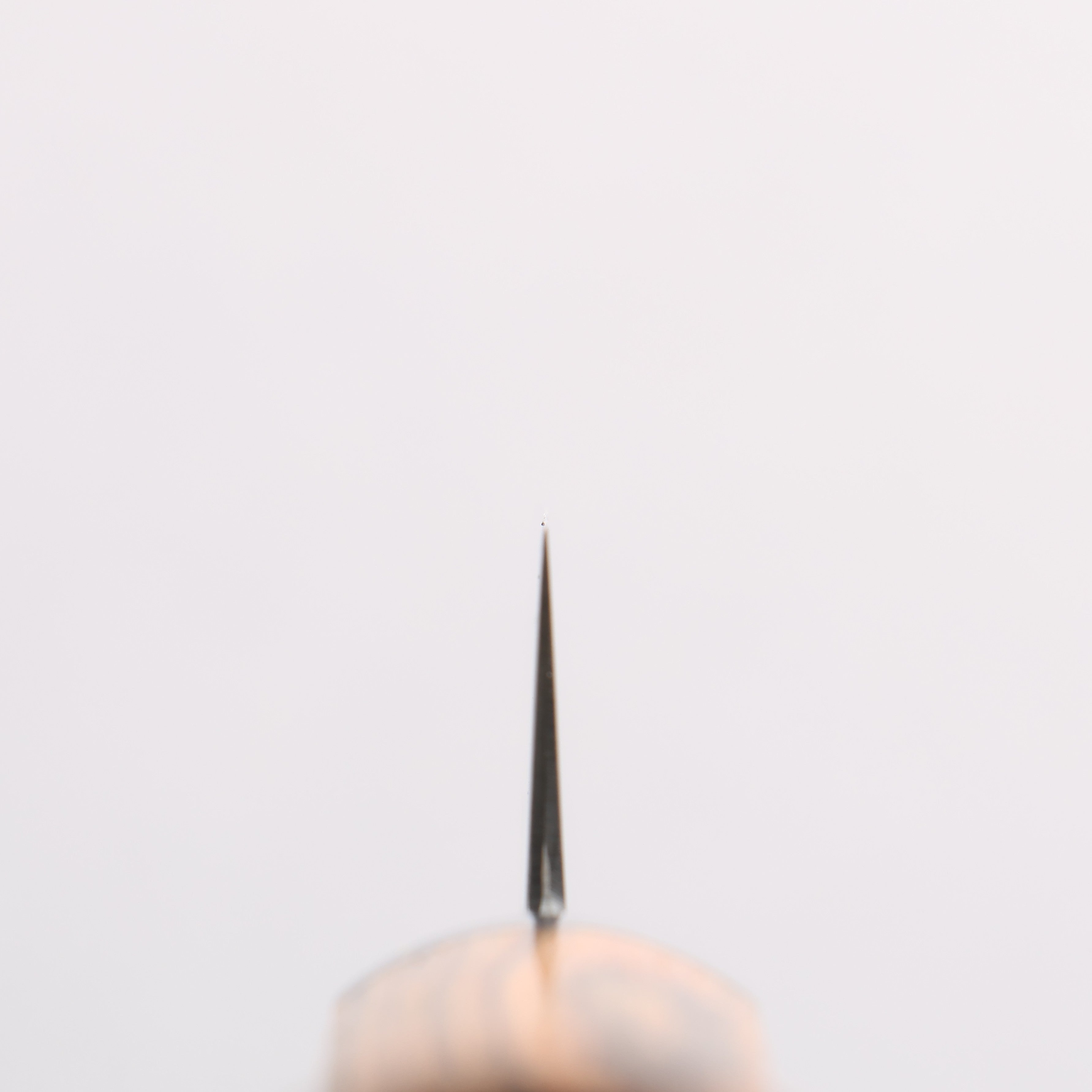 Seisuke SG2 Petty-Utility 120mm Lignum Vitae Handle - Japanny - Best Japanese Knife