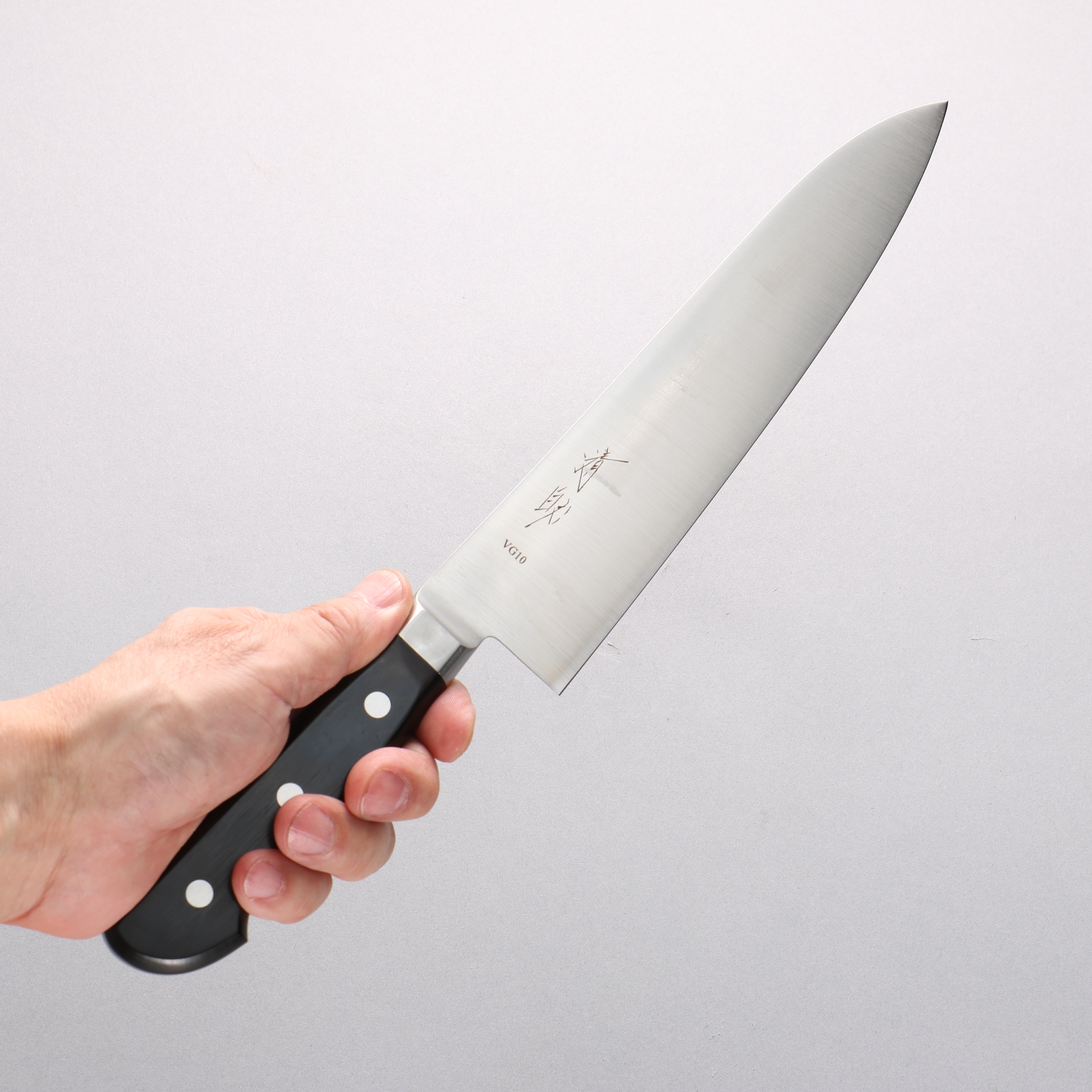 Seisuke Stainless Steel Gyuto 210mm Black Pakka wood Handle - Japanny - Best Japanese Knife