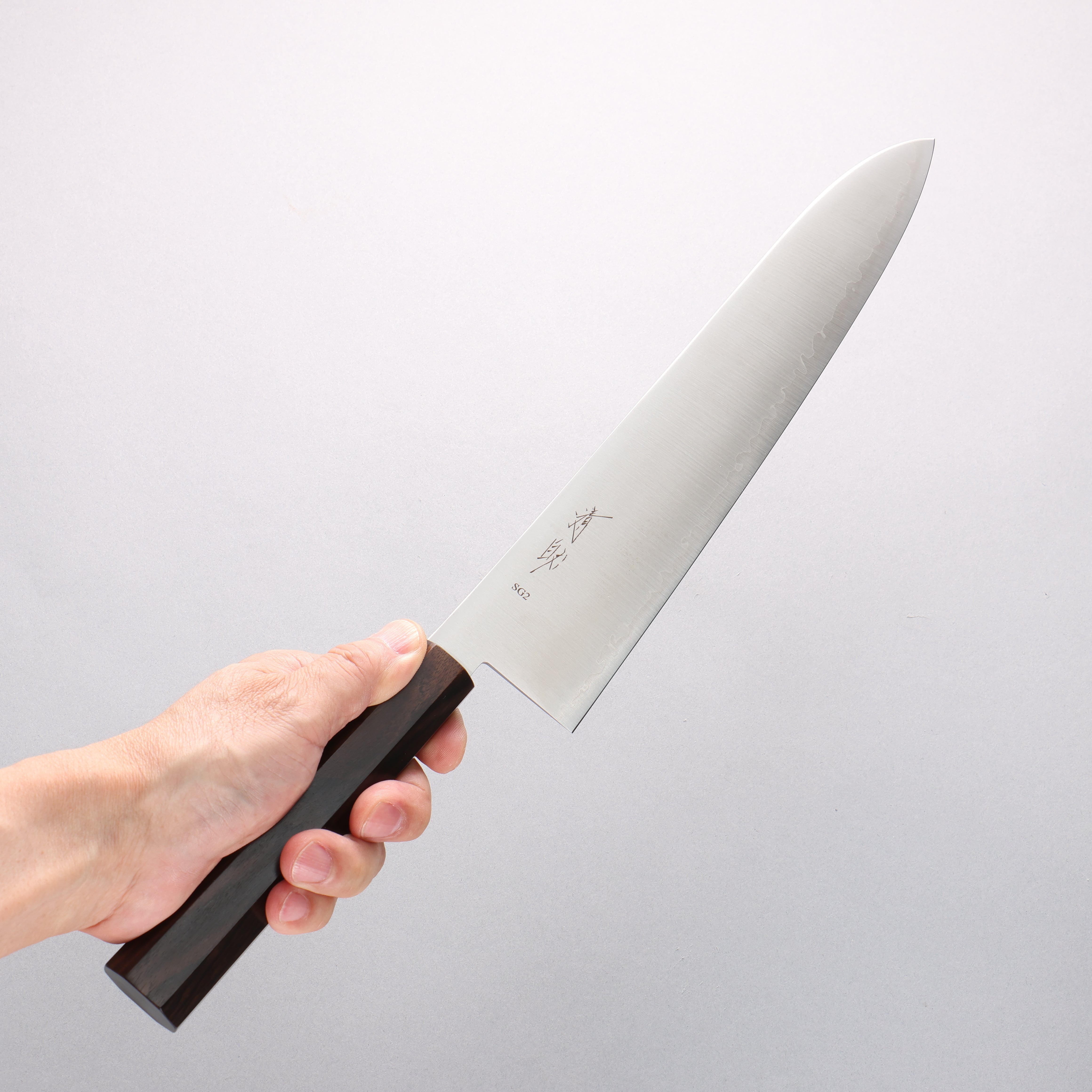 Seisuke SG2 Gyuto 270mm Ebony Wood Handle - Japanny - Best Japanese Knife