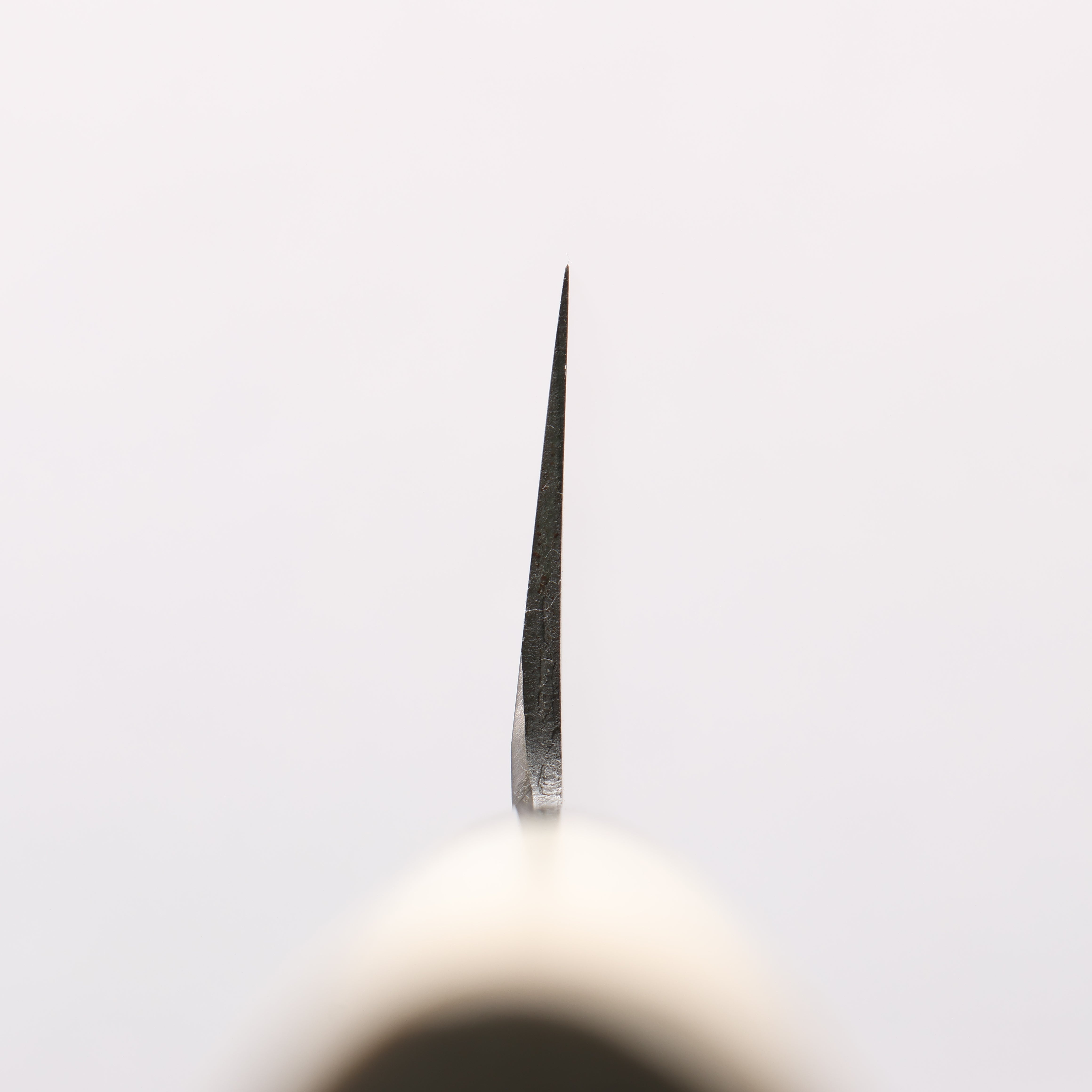 Sakai Takayuki INOX Molybdenum Usuba 180mm Magnolia Handle - Japanny - Best Japanese Knife