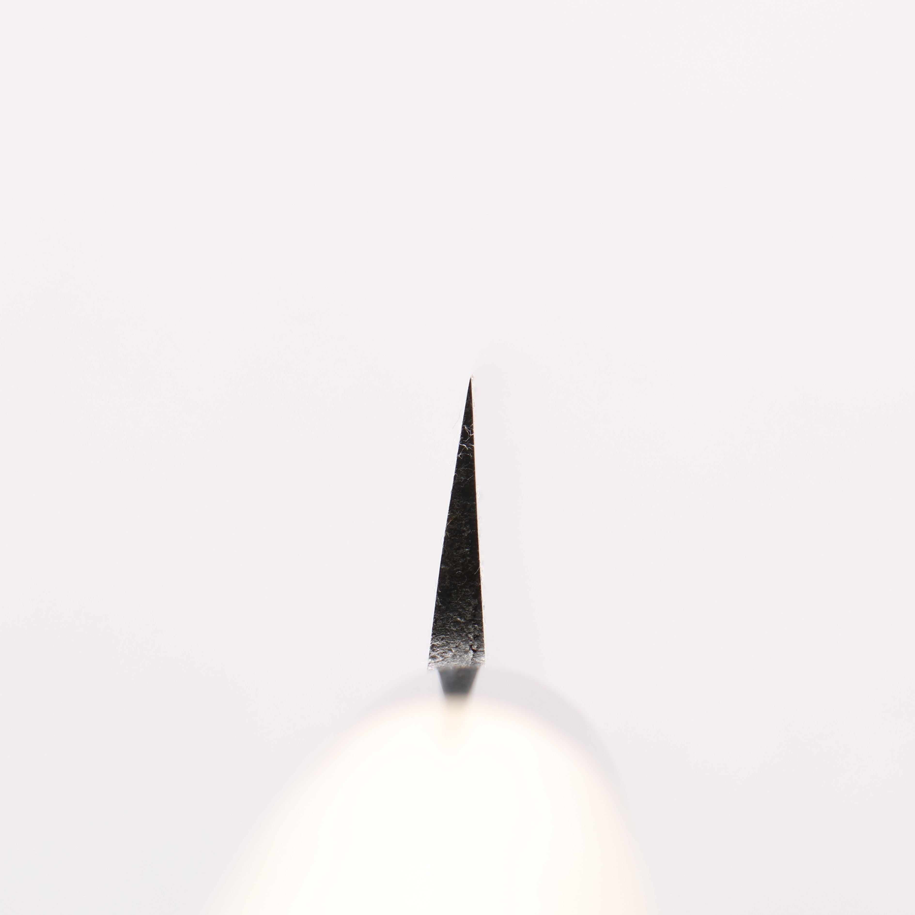 Sakai Takayuki Kasumitogi White Steel Fuguhiki Magnolia Handle - Japanny - Best Japanese Knife