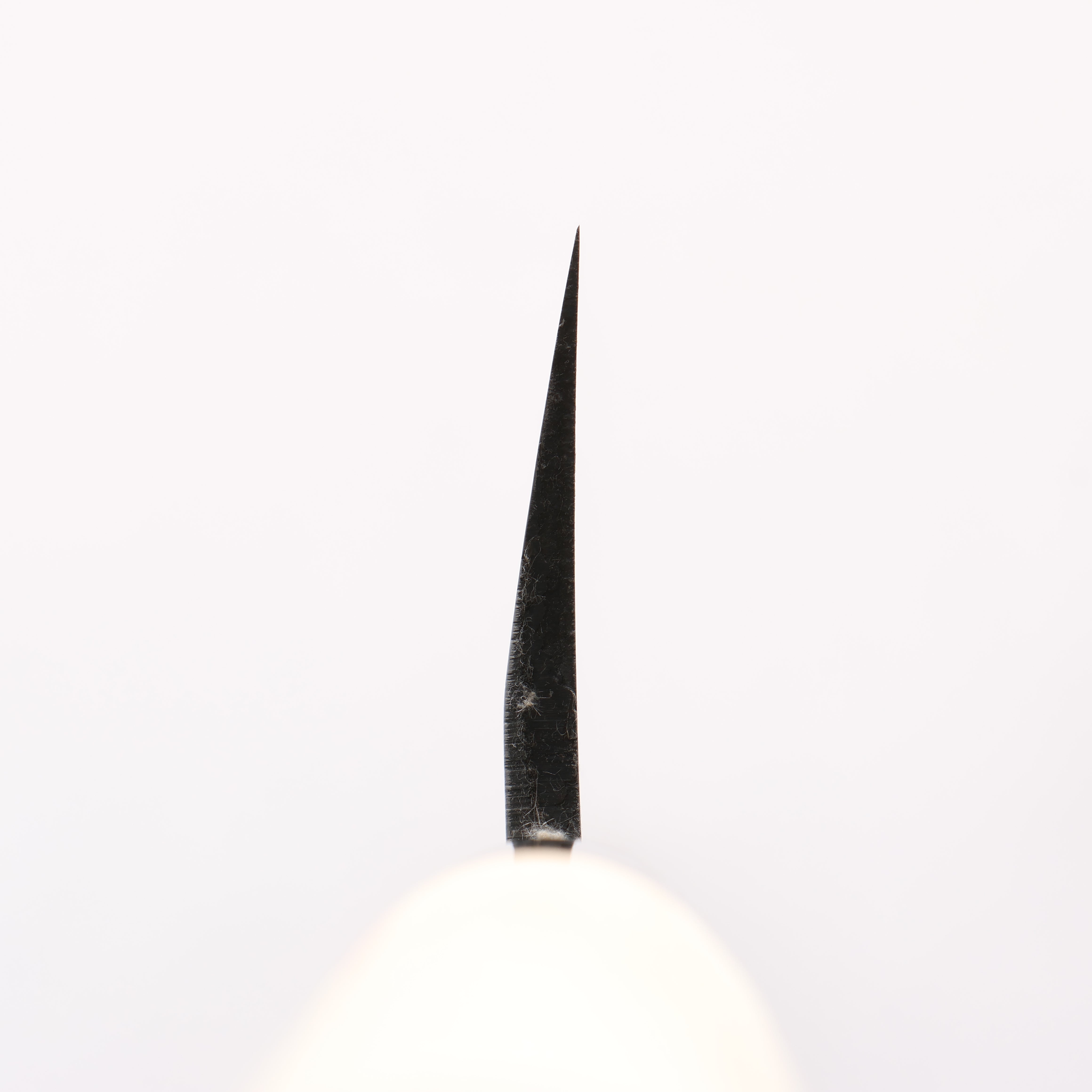 Sakai Takayuki Kasumitogi White Steel Hamokiri 300mm Magnolia Handle - Japanny - Best Japanese Knife