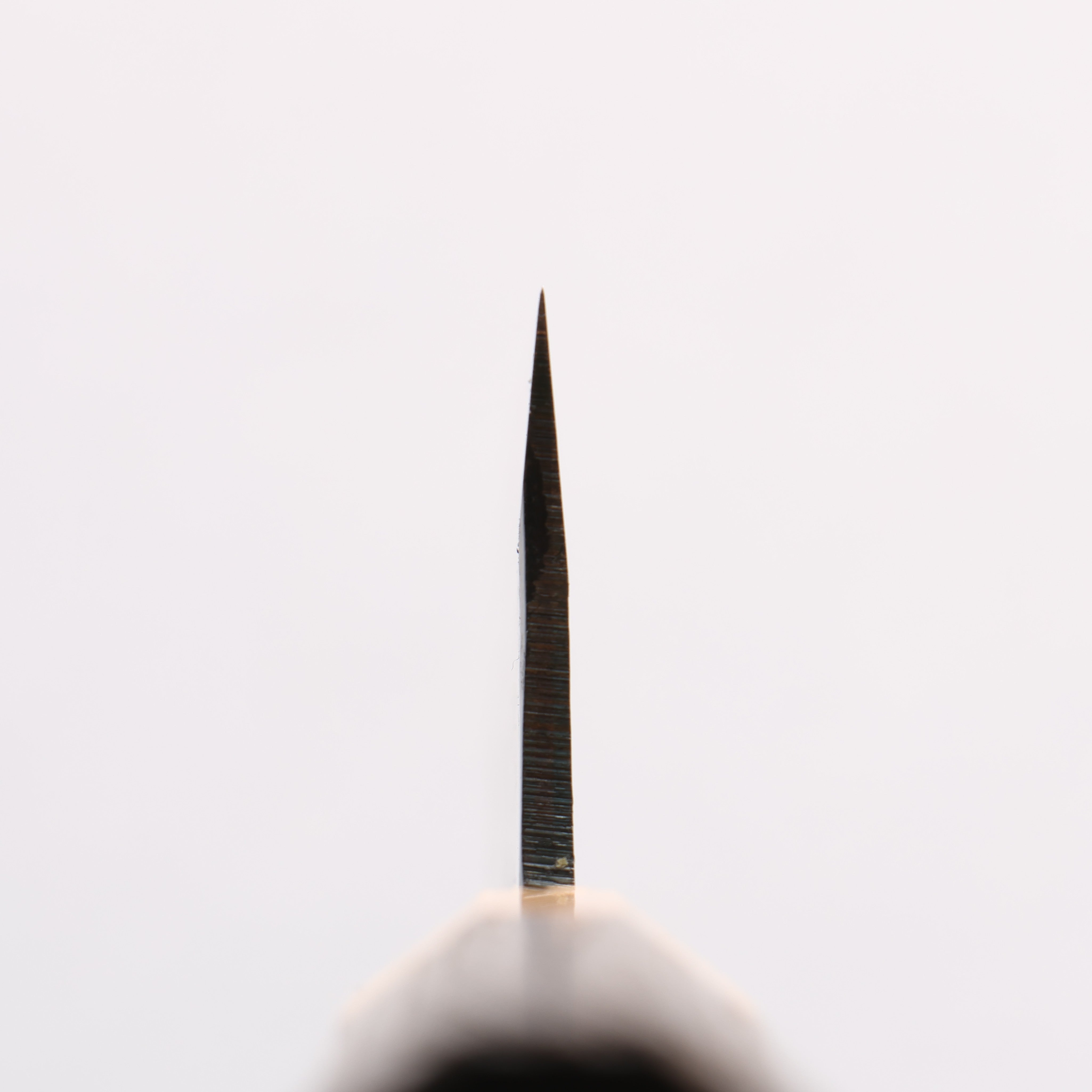 Seisuke Blue Super Black Finished Kiritsuke Gyuto 210mm Burnt Chestnut (ferrule: Cherry Wood) Handle - Japanny - Best Japanese Knife