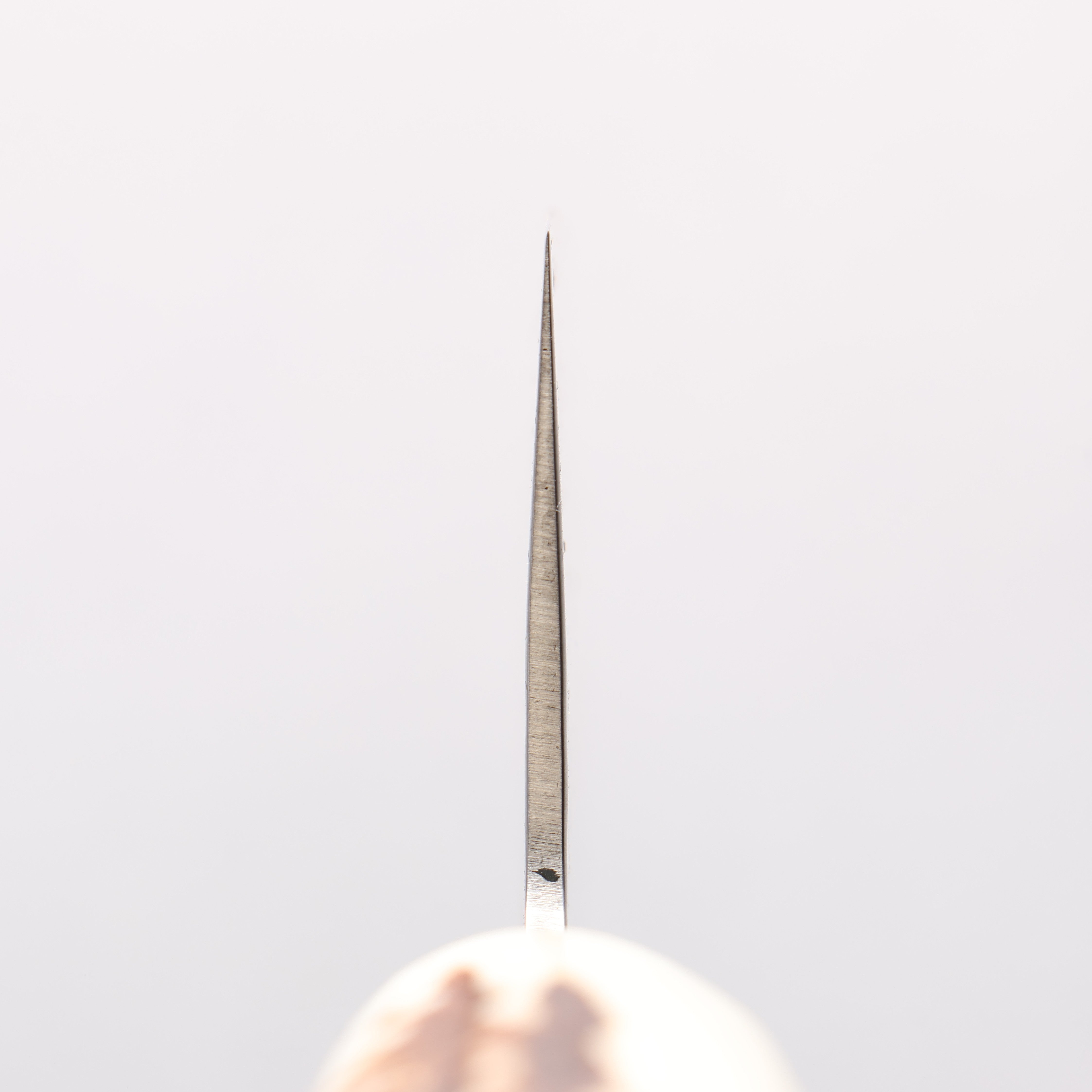 Sakai Takayuki VG10 33 Layer Damascus Gyuto 240mm Cow Bone Handle with Sheath - Japanny - Best Japanese Knife