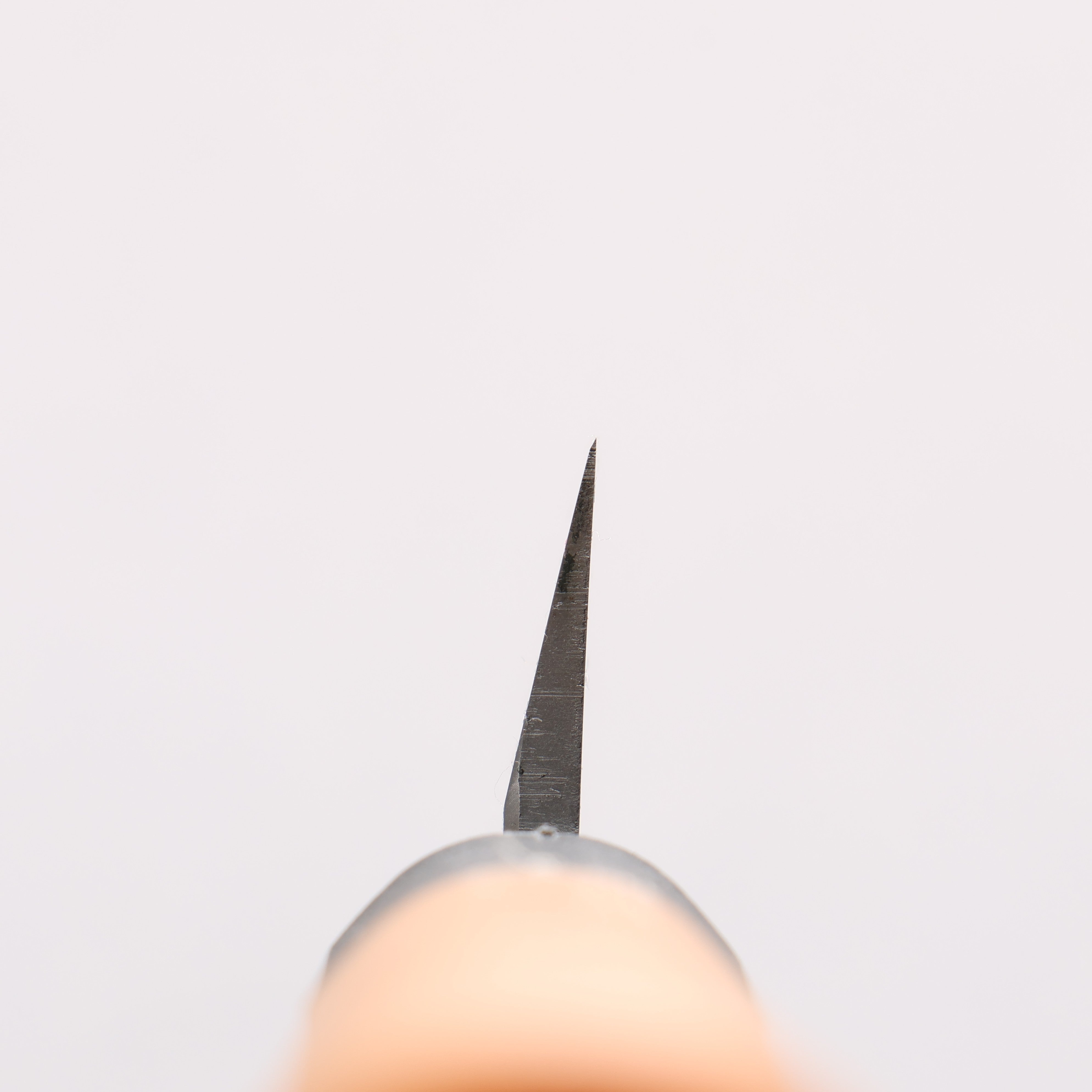 Sakai Takayuki Molybdenum Yanagiba 240mm PC(Plastic) Handle - Japanny - Best Japanese Knife