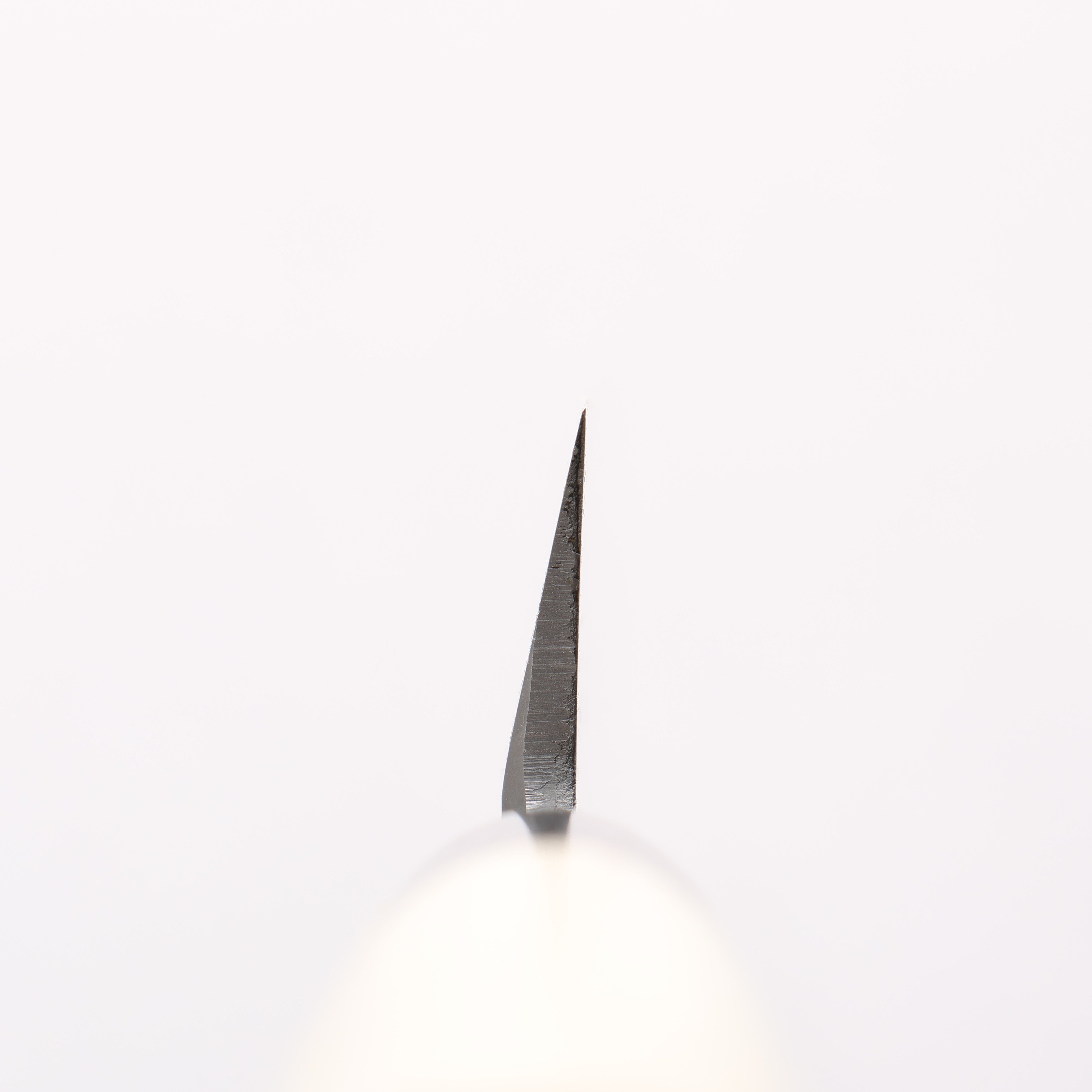 Sakai Takayuki INOX Molybdenum Yanagiba Magnolia Handle - Japanny - Best Japanese Knife