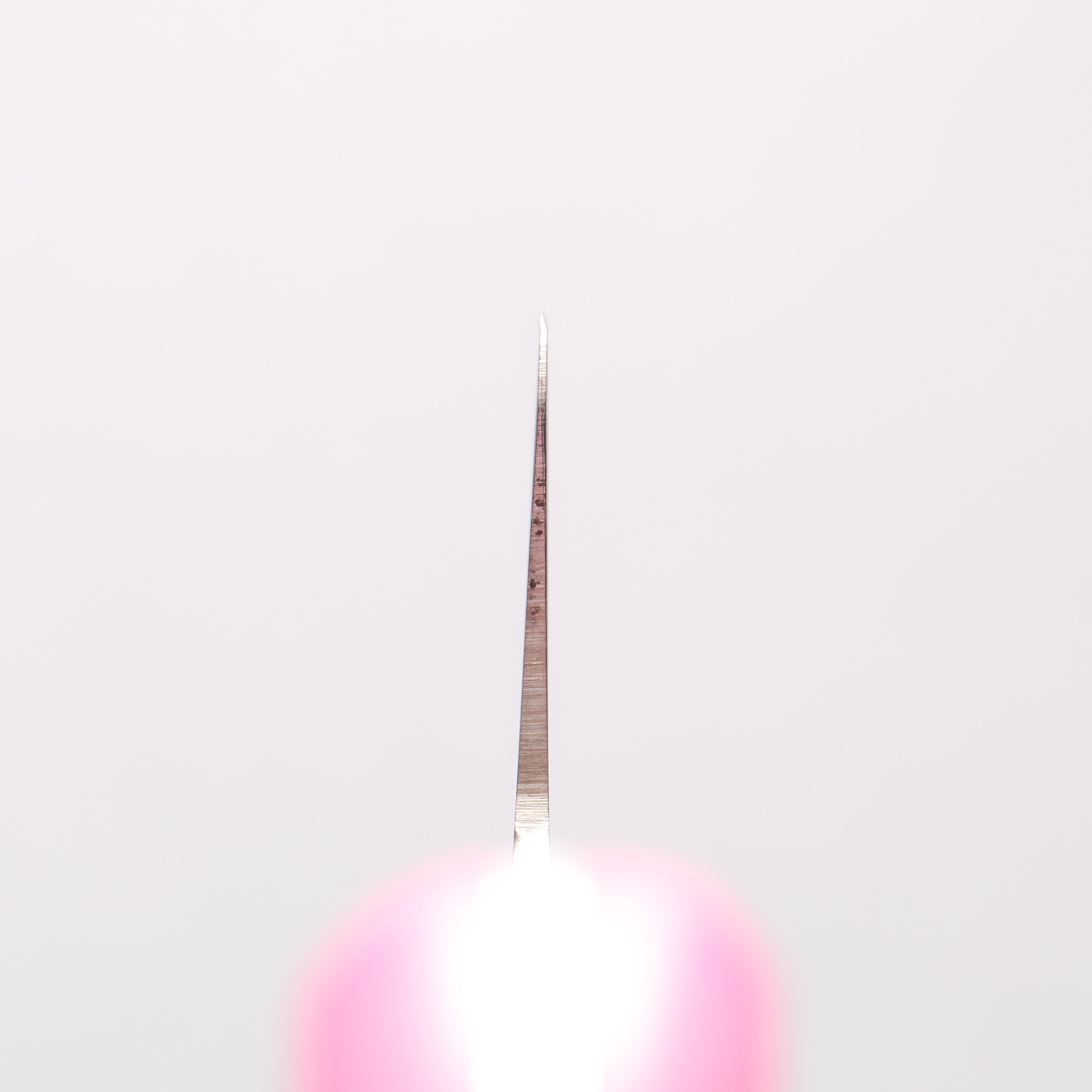 Sakai Takayuki Molybdenum Kitchen Knife for Kids 120mm - Japanny - Best Japanese Knife