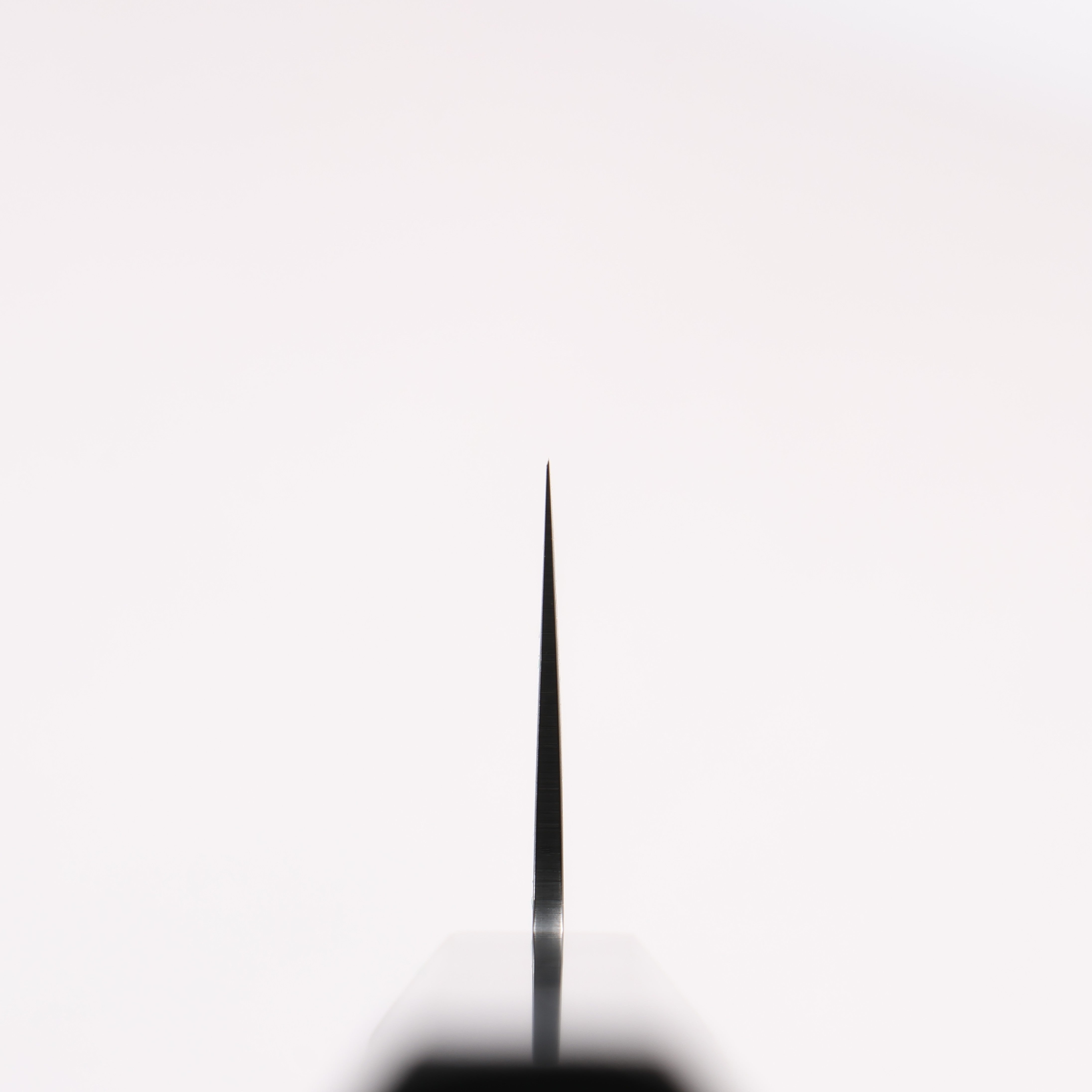 Seisuke Dark Horse SG2 Black Damascus Kiritsuke Santoku 180mm Black Pakka wood Handle - Japanny - Best Japanese Knife