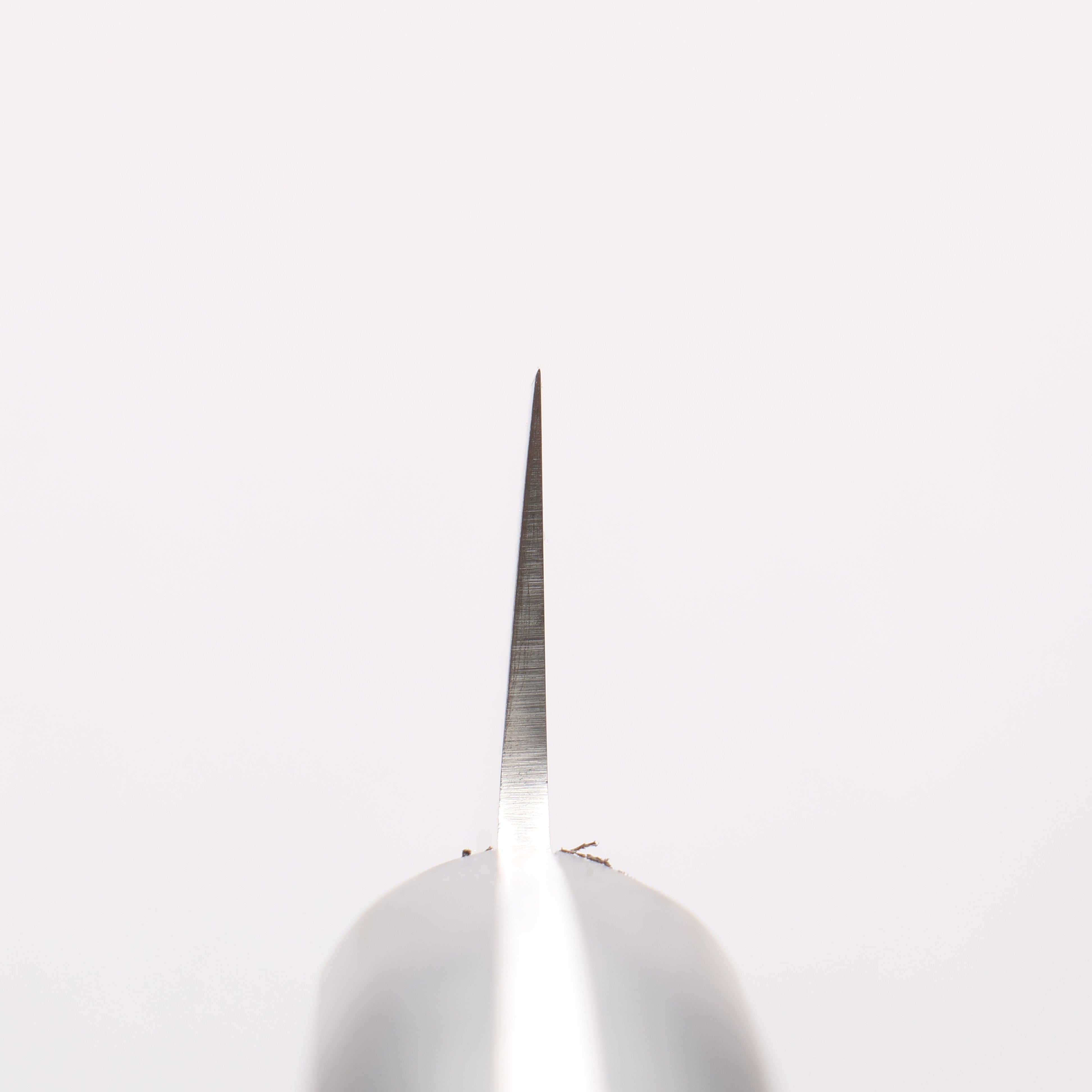 Sakai Takayuki Molybdenum Sabaki 150mm - Japanny - Best Japanese Knife