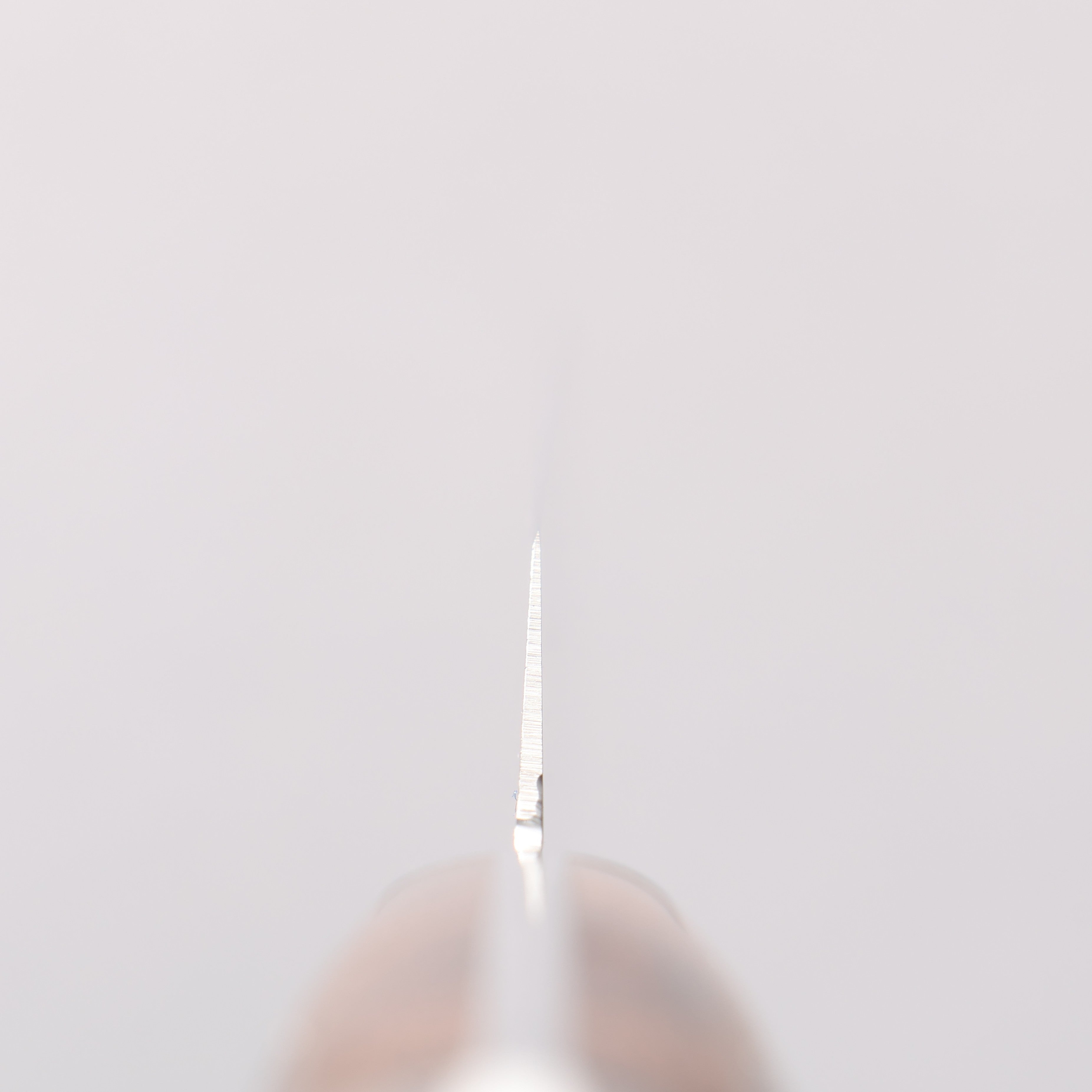 Sakai Takayuki Stainless Steel Carving 240mm - Japanny - Best Japanese Knife