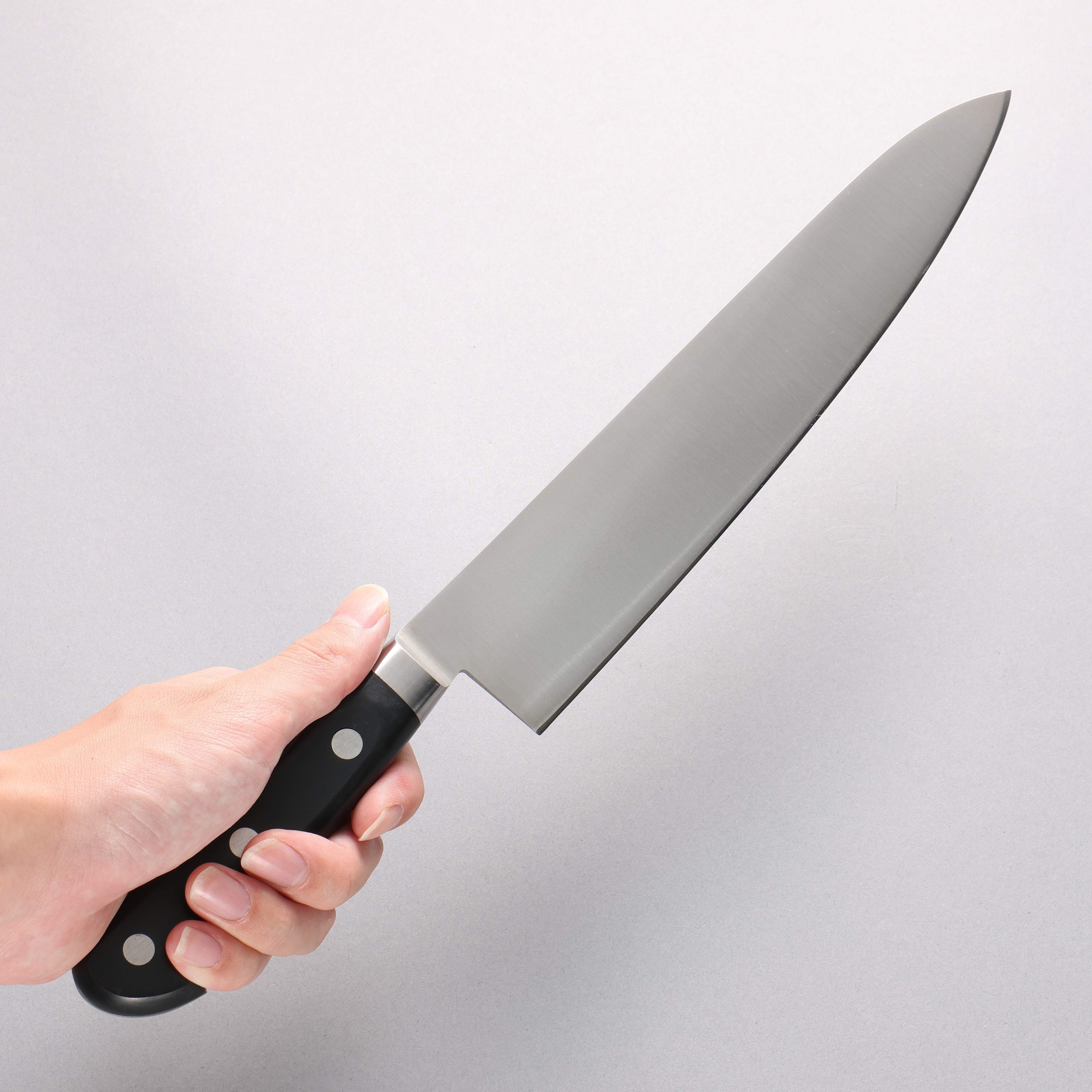 Sakai Takayuki Grand Chef Swedish Steel-stn Gyuto 240mm - Japanny - Best Japanese Knife