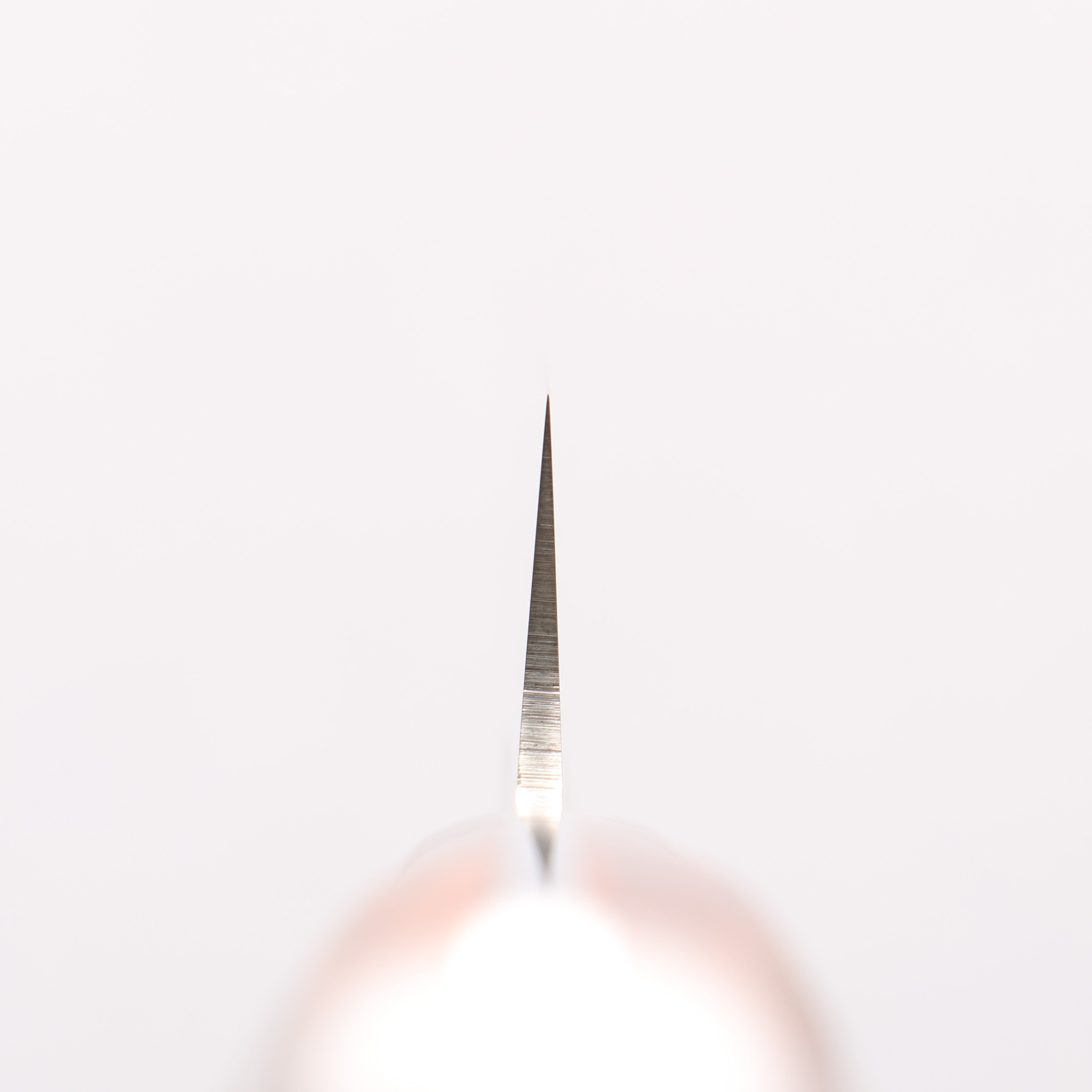 Sakai Takayuki Grand Chef Swedish Steel-stn Kiritsuke Yanagiba 260mm Desert Ironwood(Sugihara model) Handle with Sheath - Japanny - Best Japanese Knife