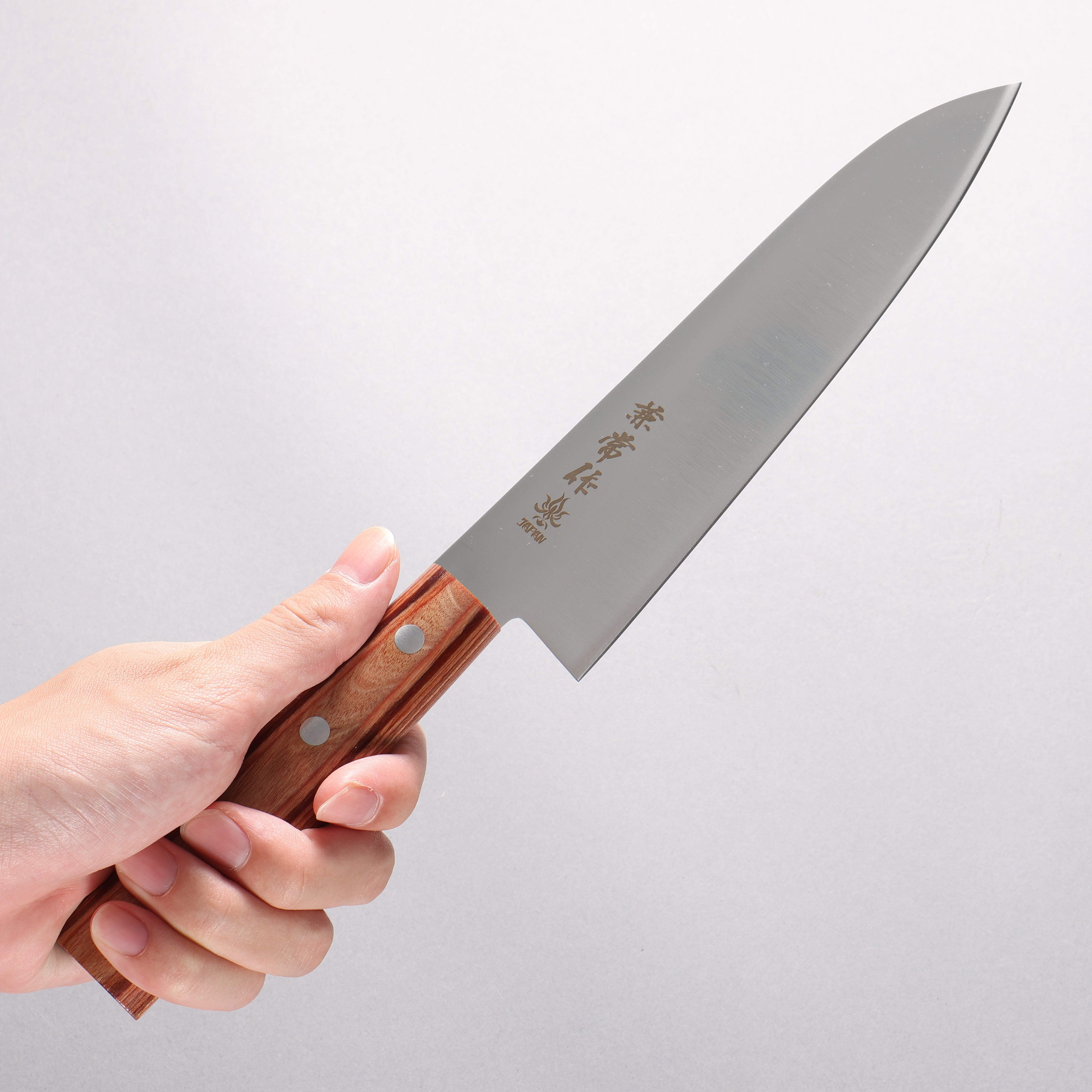 Kanetsune DSR-1K6 Gyuto 180mm Red Pakka wood Handle - Japanny - Best Japanese Knife