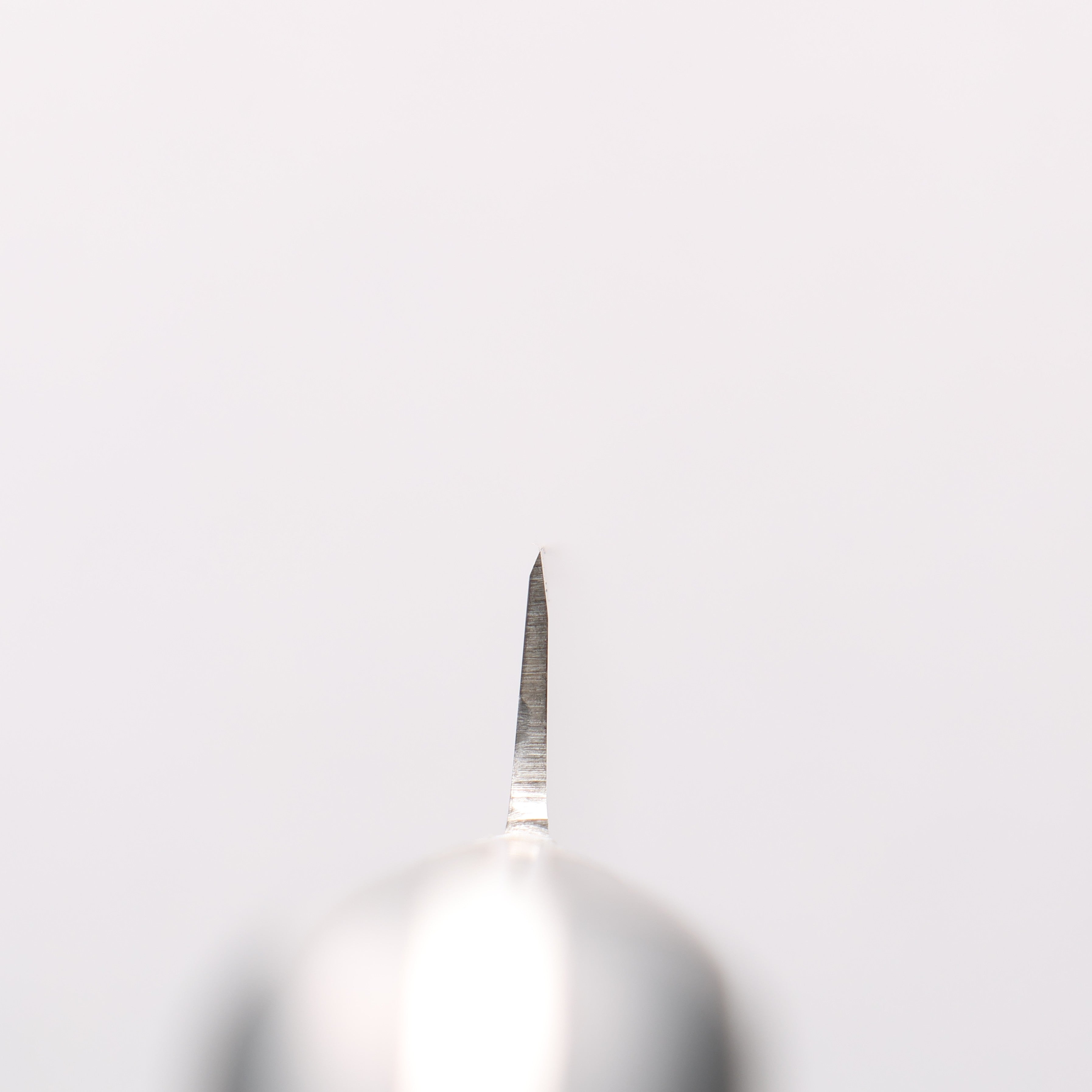 Sakai Takayuki [Left Handed] Japanese Steel Sujihiki 210mm Black Pakka wood Handle - Japanny - Best Japanese Knife