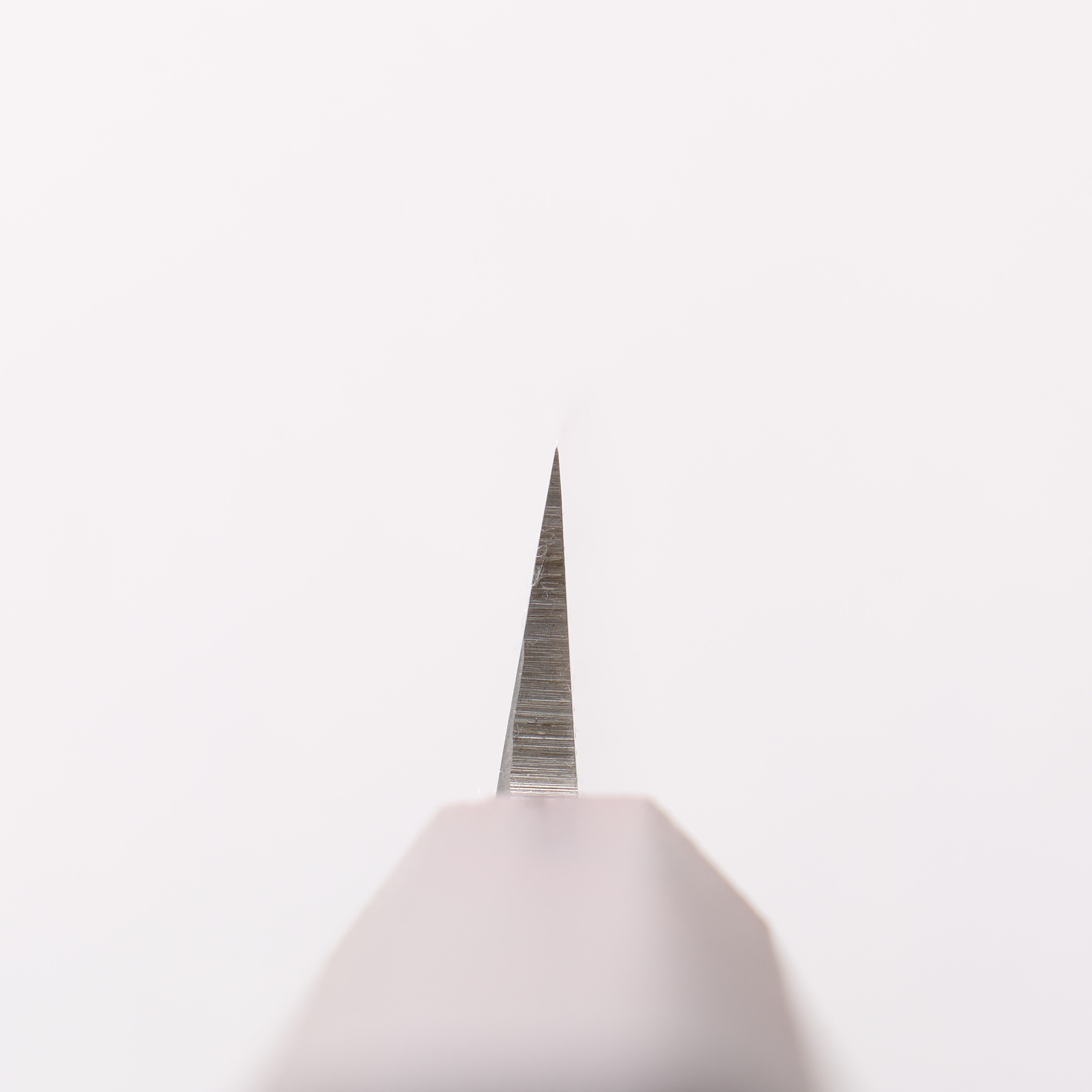 Sakai Takayuki Nanairo INOX Molybdenum Yanagiba 270mm ABS resin(Tortoiseshell) Handle - Japanny - Best Japanese Knife