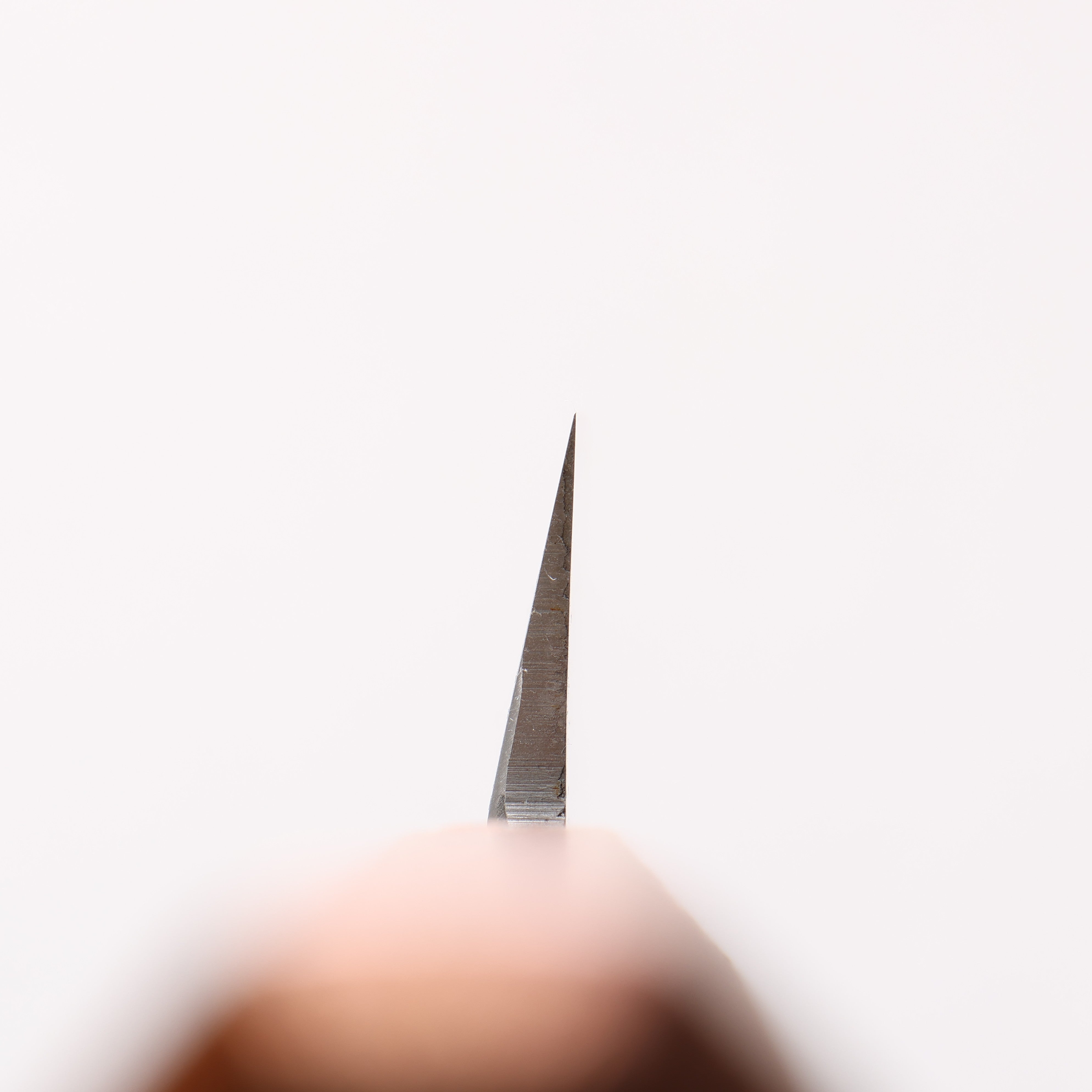 Sakai Takayuki Nanairo INOX Molybdenum Yanagiba 270mm ABS resin(Retro gold) Handle - Japanny - Best Japanese Knife