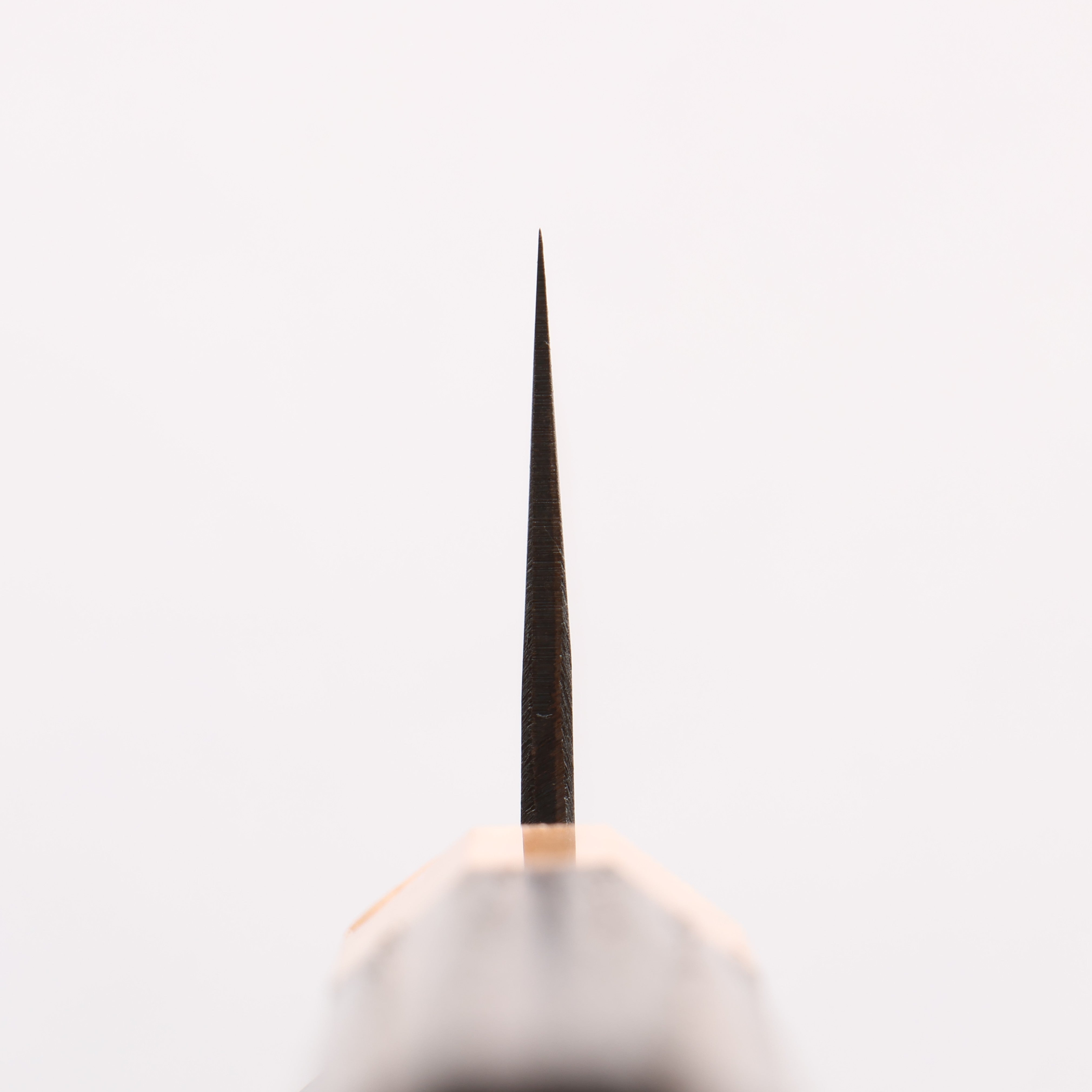 Seisuke Blue Steel No.2 Black Finished Kiritsuke Gyuto 210mm Burnt Chestnut (ferrule: Cherry Wood) Handle - Japanny - Best Japanese Knife