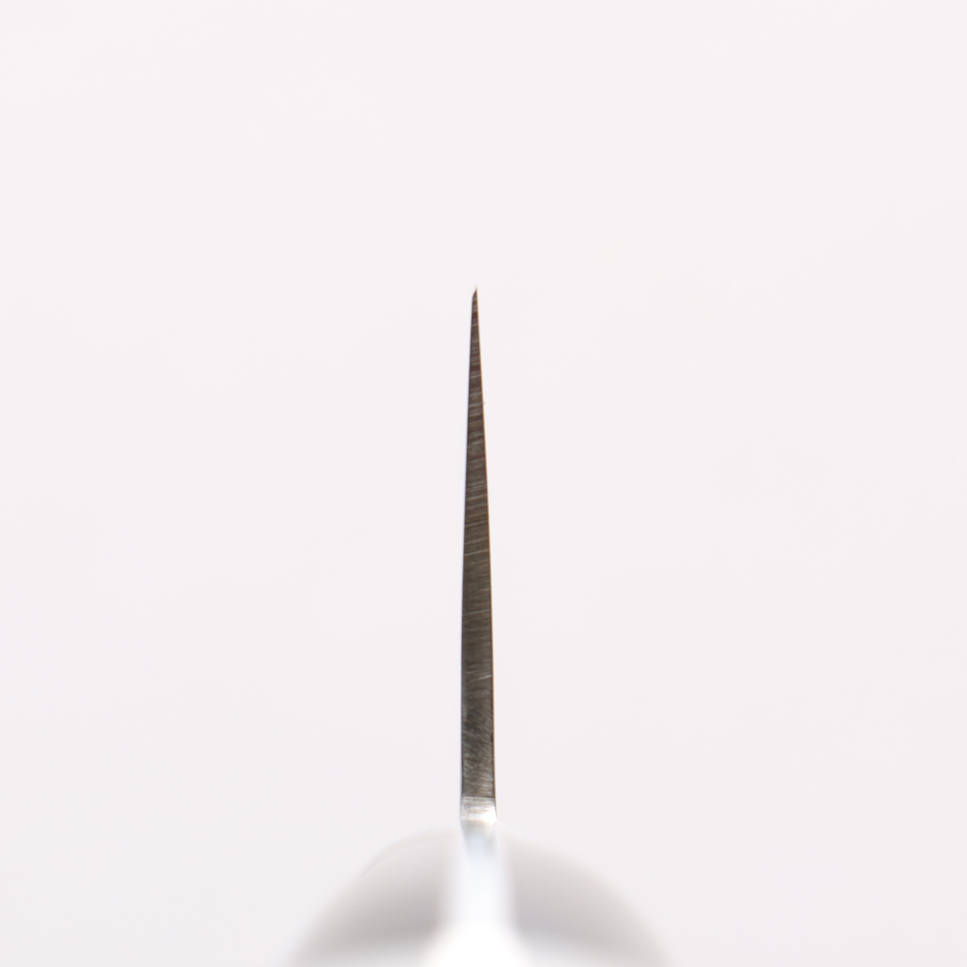 Seisuke VG1 Gyuto 210mm Black Pakka wood Handle - Japanny - Best Japanese Knife