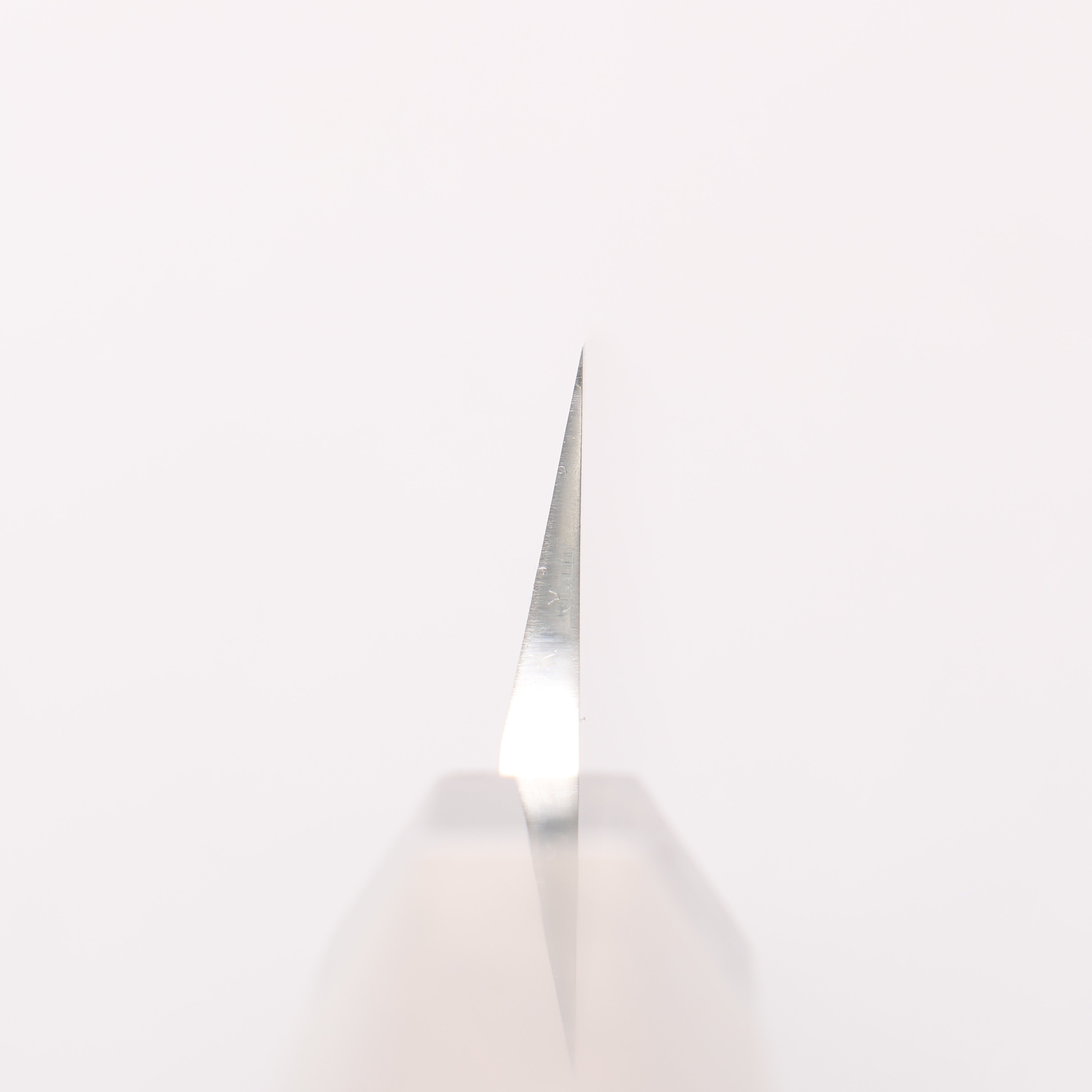 Sakai Takayuki Ginryu Honyaki Swedish Steel Mirrored Finish Sakimaru Yanagiba 300mm Stabilized wood Handle with Sheath - Japanny - Best Japanese Knife