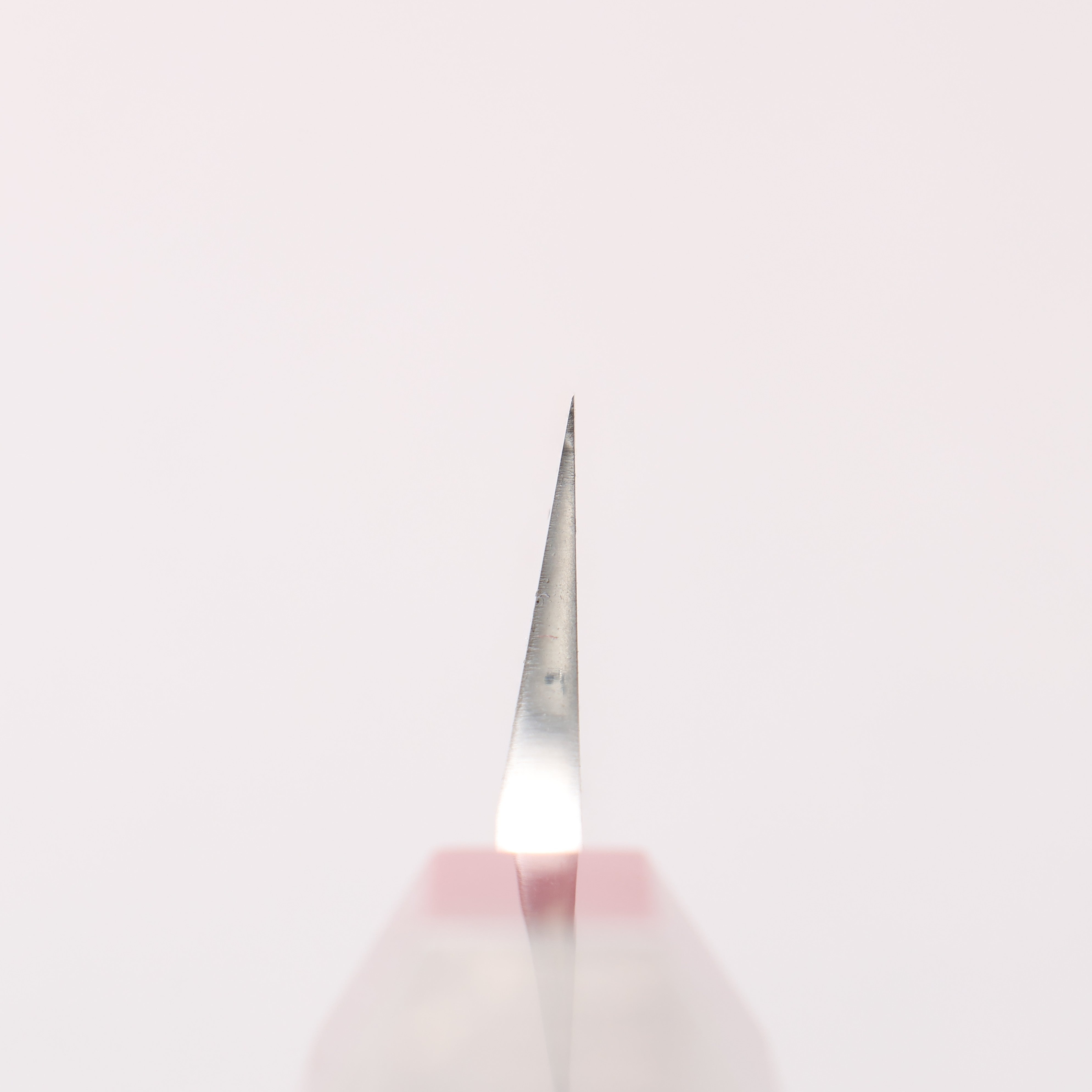 Sakai Takayuki Ginryu Honyaki Swedish Steel Mirrored Finish Sakimaru Yanagiba 300mm Stabilized wood Handle with Sheath - Japanny - Best Japanese Knife