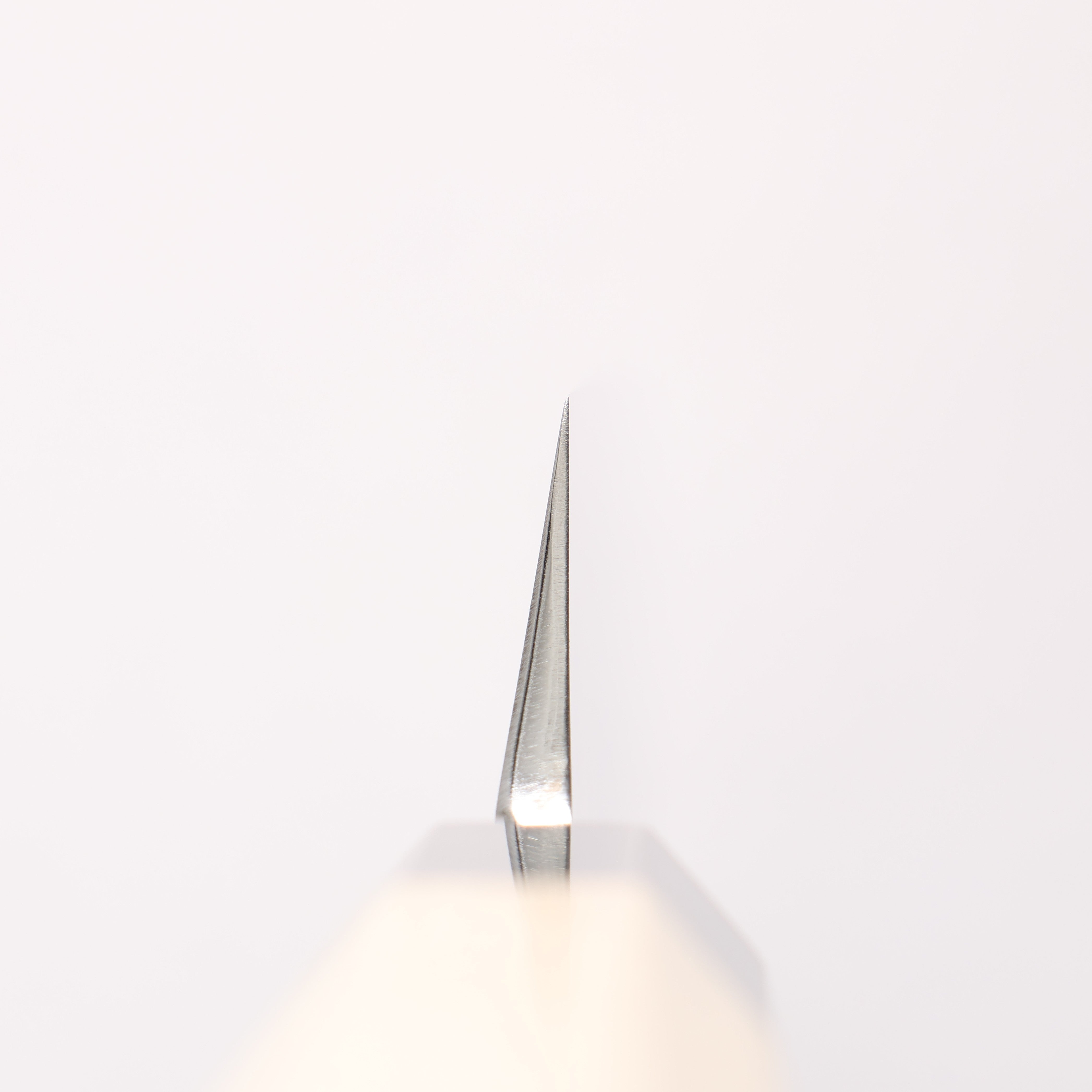 Choyo Silver Steel No.3 Mirrored Finish Yanagiba 300mm Magnolia Handle - Japanny - Best Japanese Knife