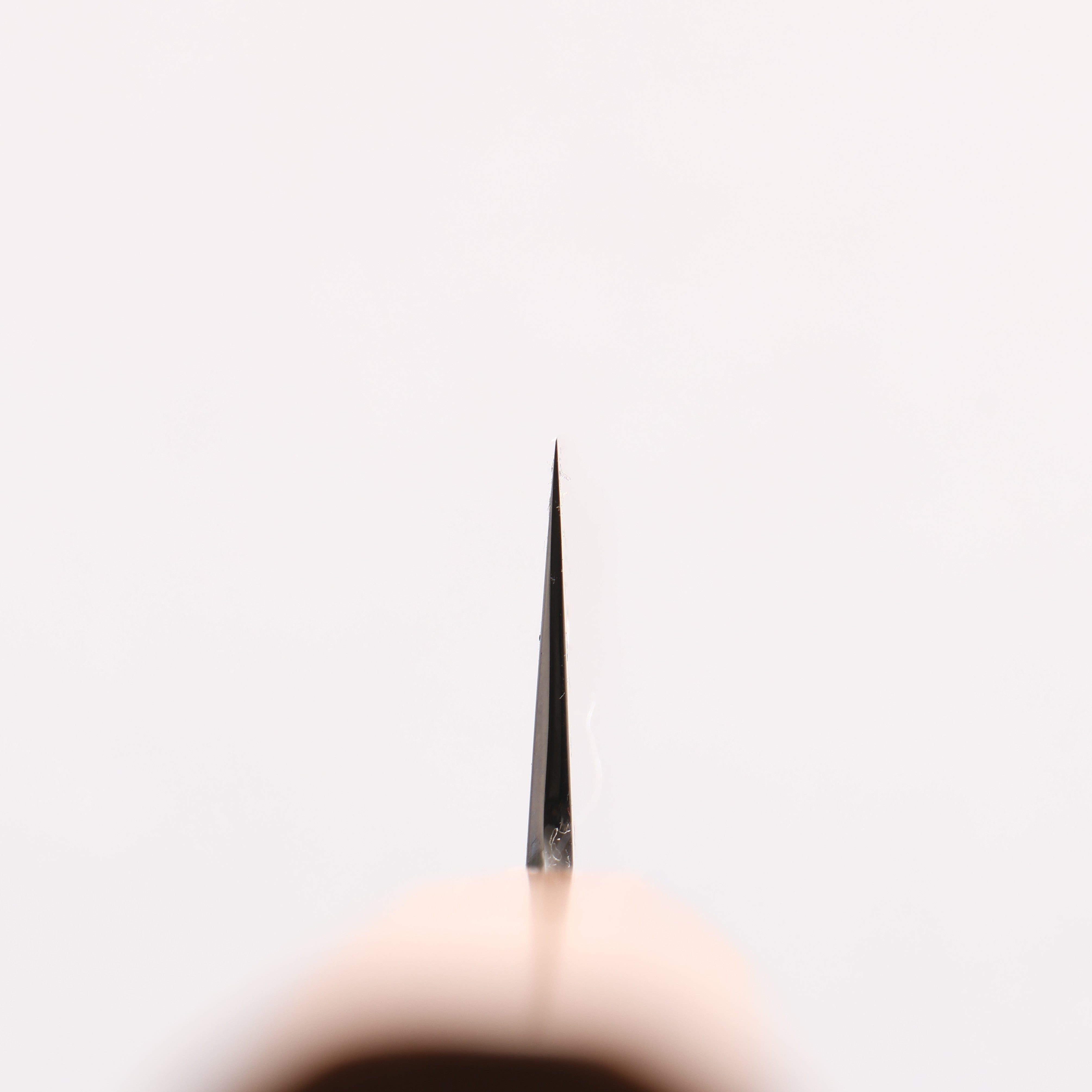 Jikko Kujira White Steel Gyuto 210mm Cherry Tree Handle - Japanny - Best Japanese Knife