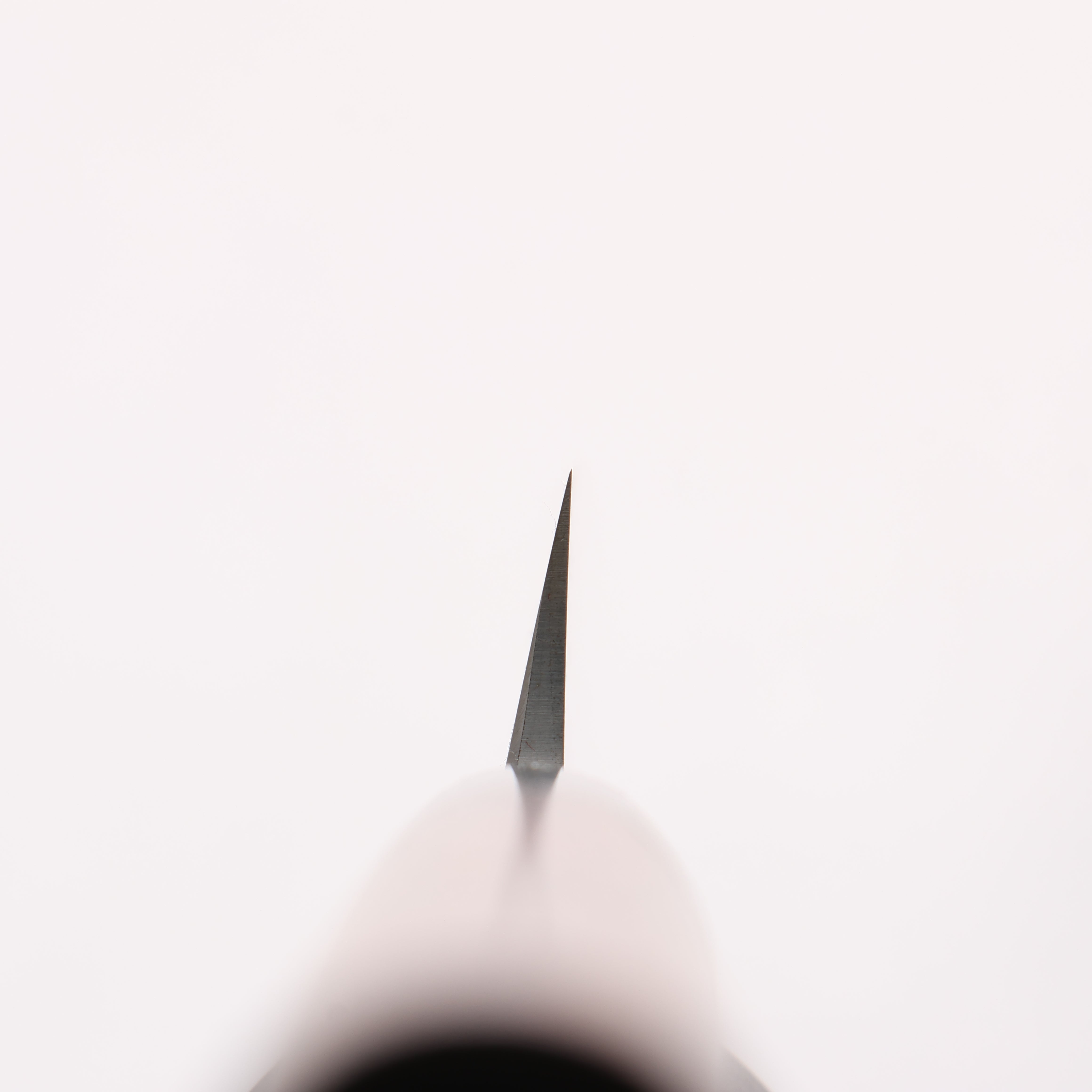 Jikko White Steel No.2 Kiritsuke Yanagiba 300mm Shitan Handle - Japanny - Best Japanese Knife