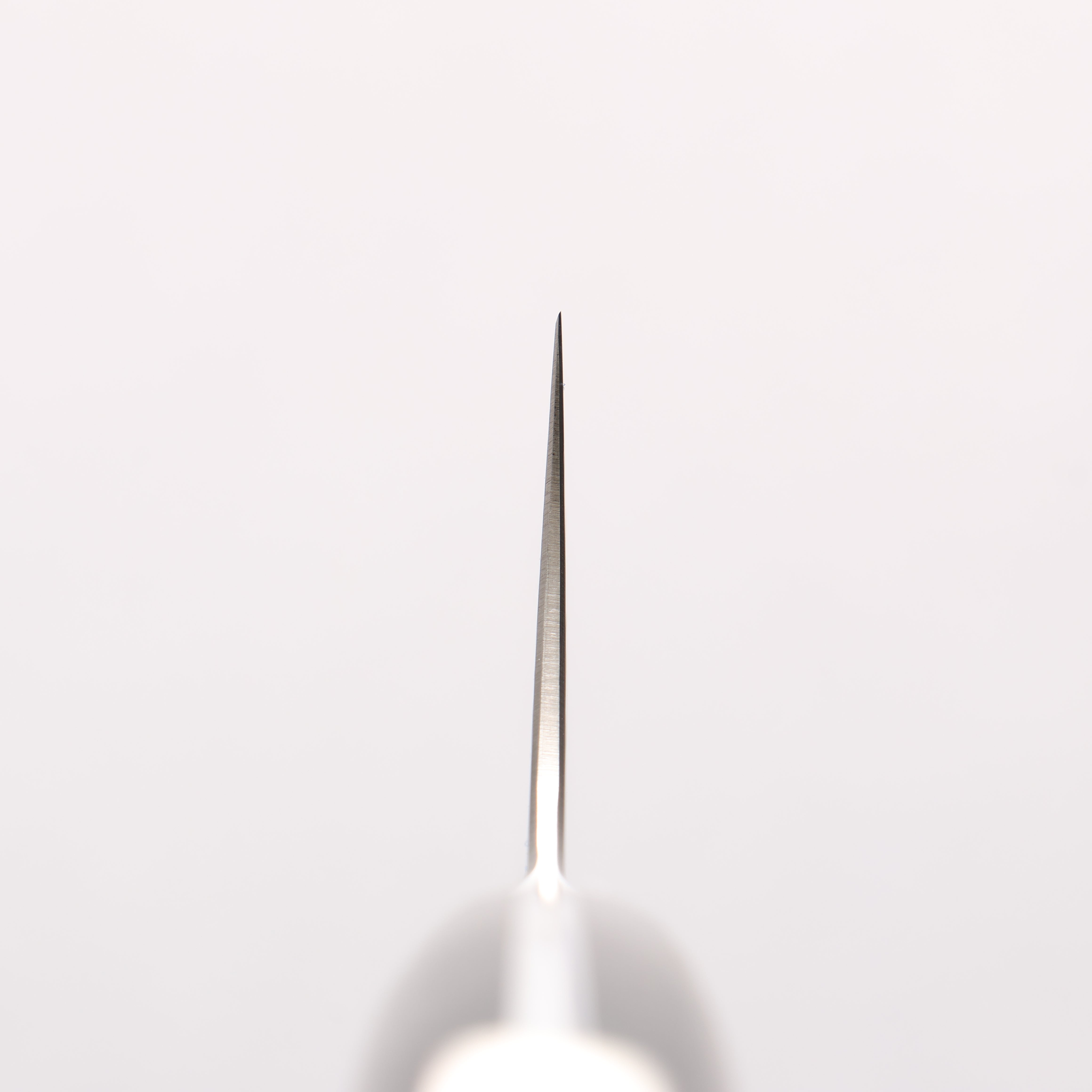 Kajin ZDP189 Damascus Migaki Finished Gyuto 210mm Chinese Quince Burl Inlay Handle - Japanny - Best Japanese Knife