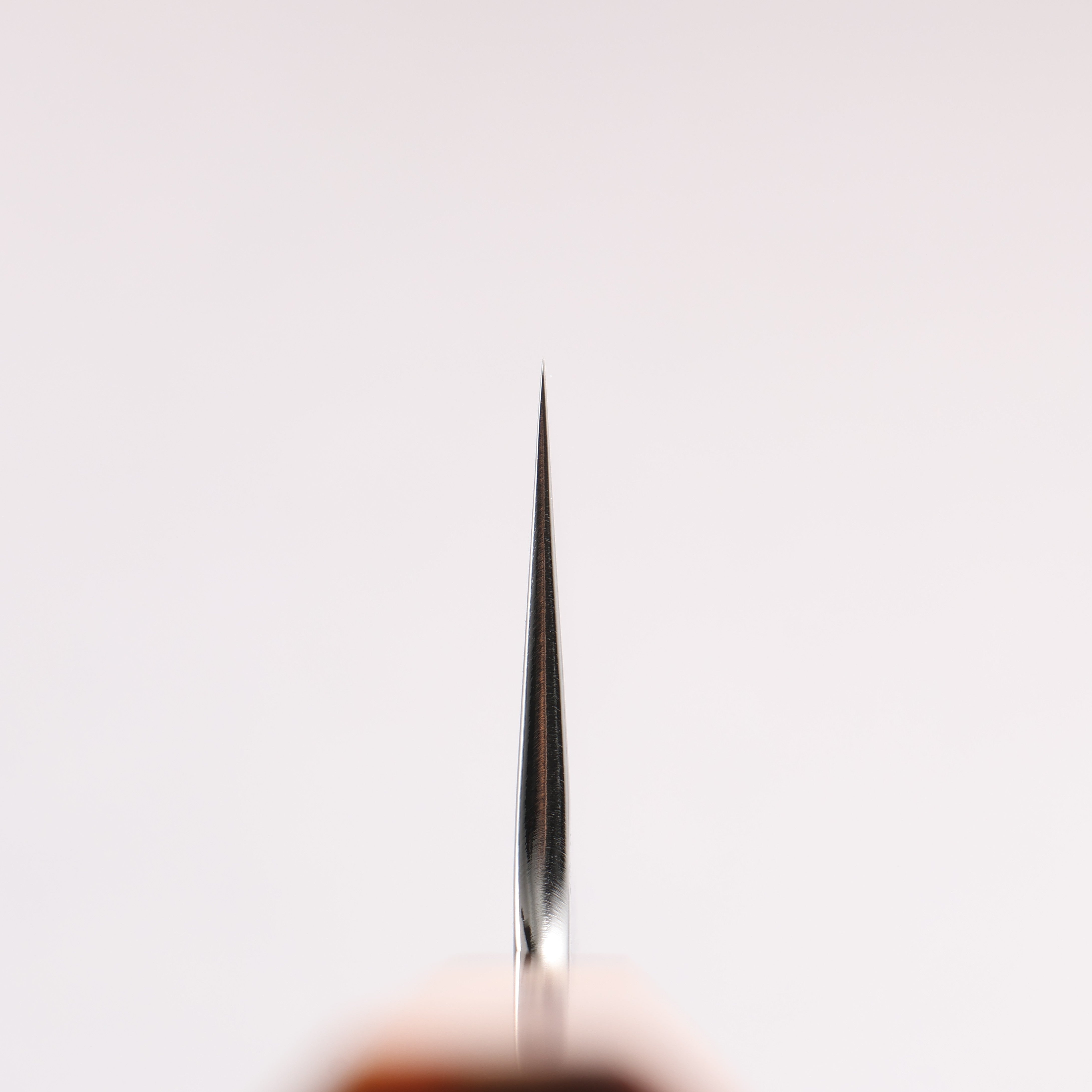 Enkyu SG2 Damascus Migaki Finished Kiritsuke Gyuto 210mm Chinese Quince Handle - Japanny - Best Japanese Knife