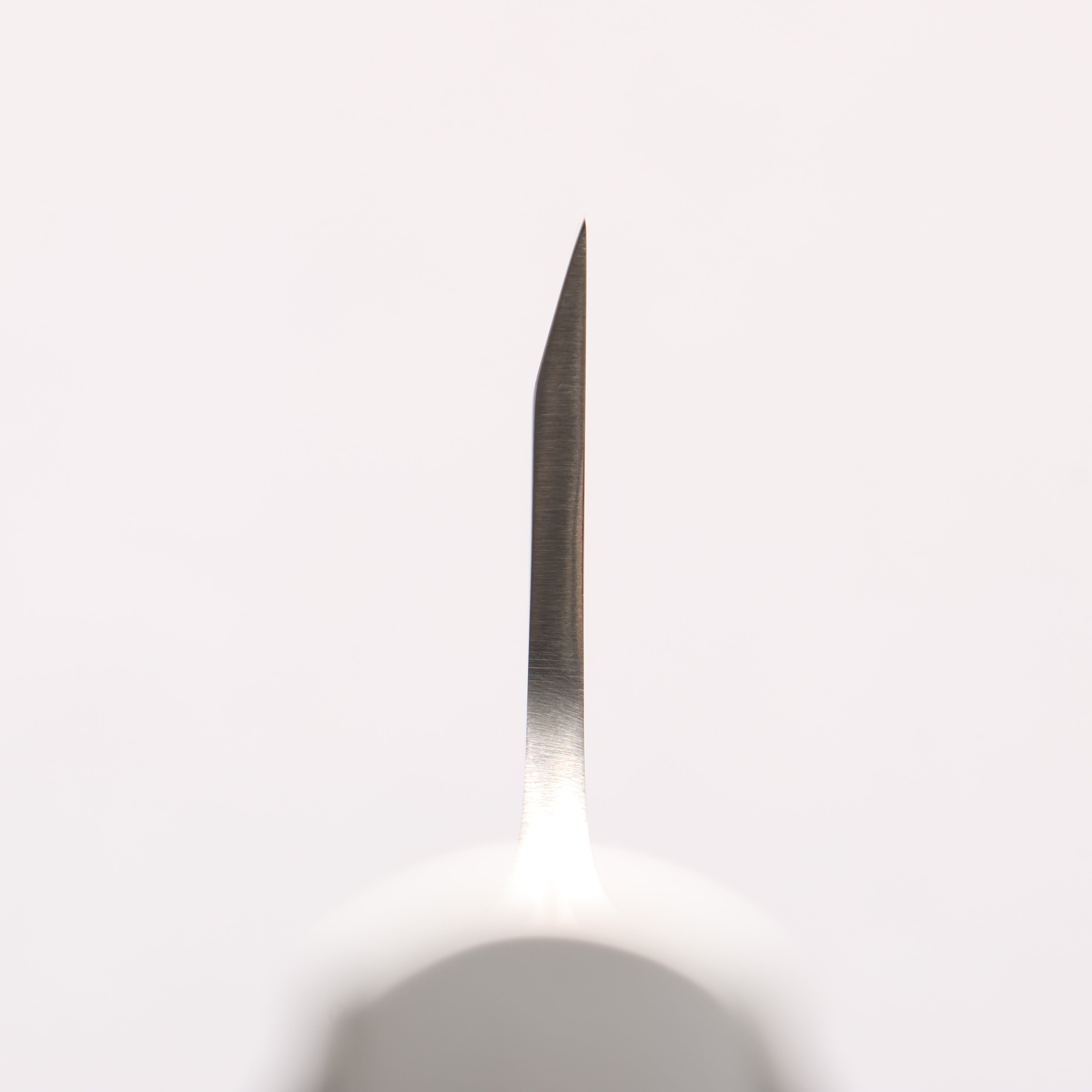 Glestain Stainless Steel Western Style Deba - Japanny - Best Japanese Knife