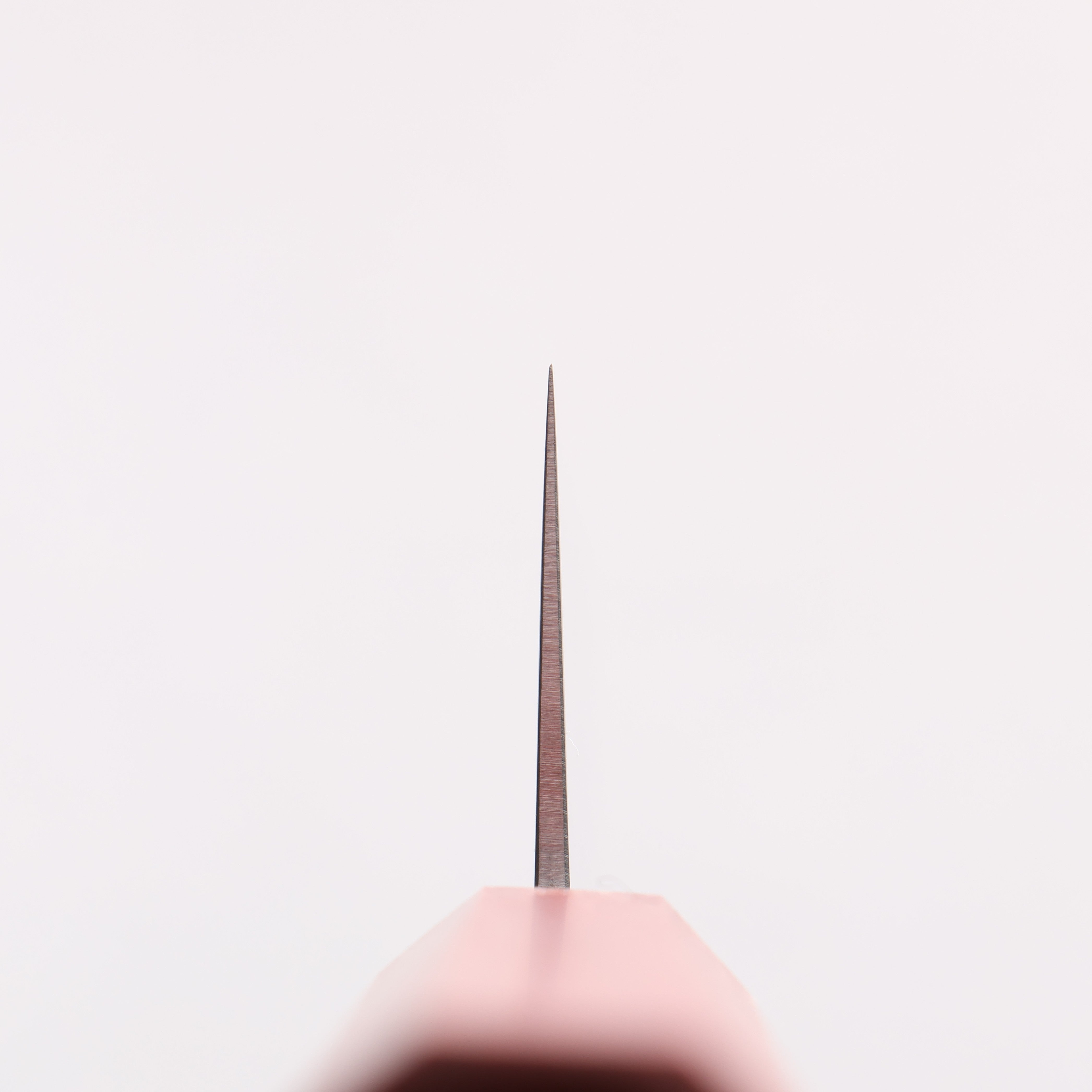 Seisuke Blue Steel No.2 Kiritsuke Gyuto 180mm Oak (Smokey Red) Handle - Japanny - Best Japanese Knife