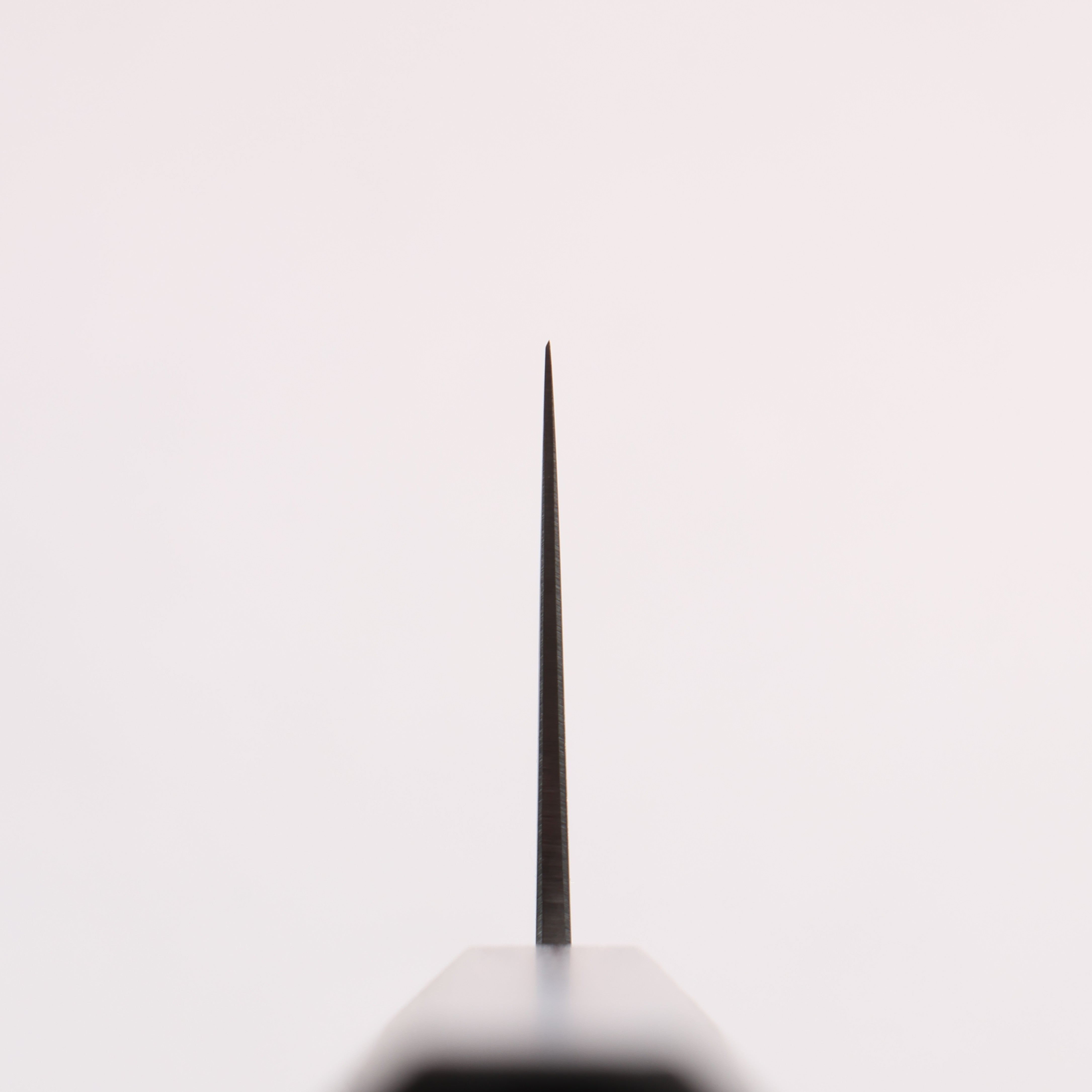 Seisuke Blue Steel No.2 Kiritsuke Santoku (wide) 180mm Oak (Purple Dyed) Handle