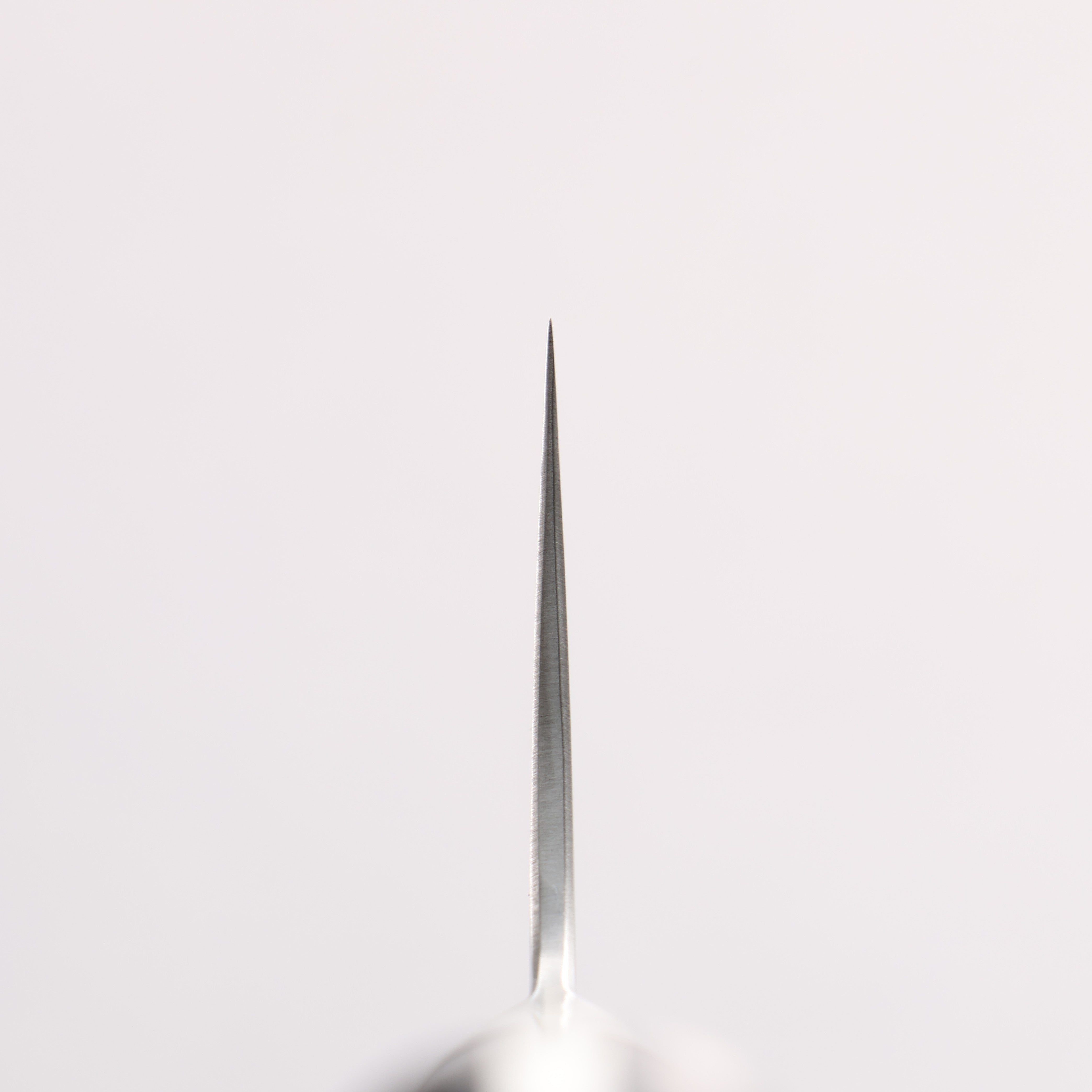 Kajin Blue Super Damascus Gyuto 240mm Mahogany Handle