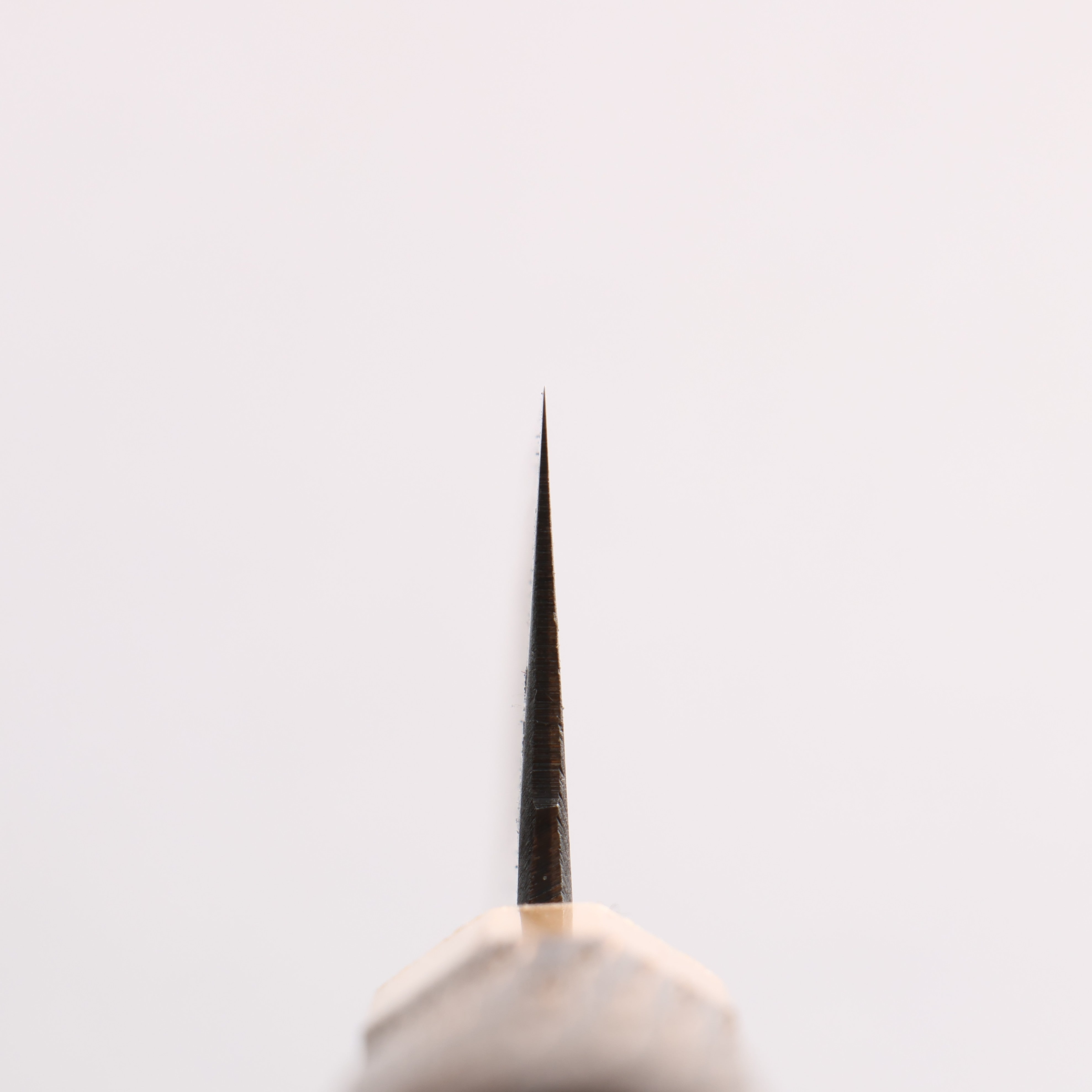 Seisuke Blue Steel No.2 Black Finished Small Bunka 150mm Burnt Chestnut (ferrule: Cherry Wood) Handle - Japanny - Best Japanese Knife