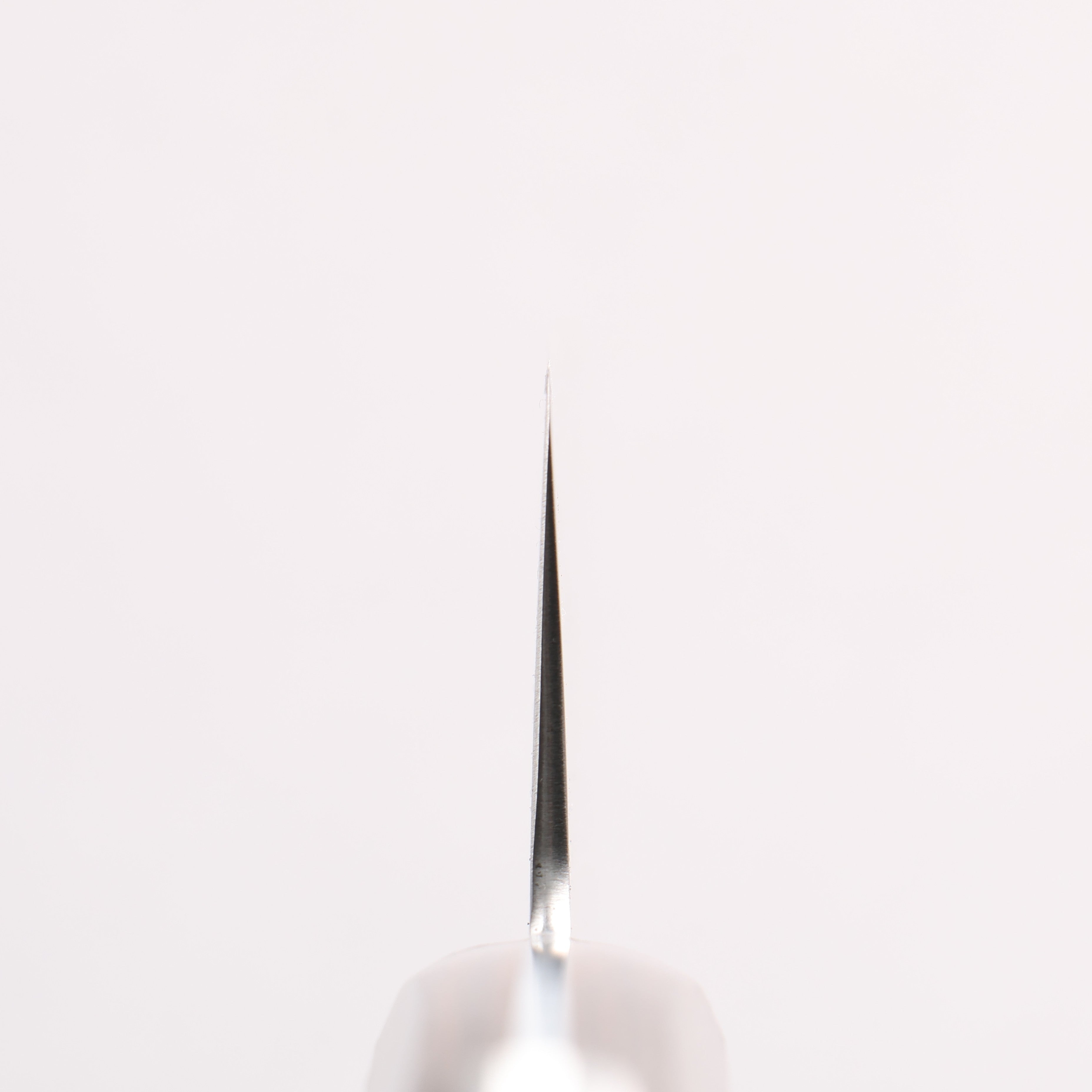 Seisuke SLD Migaki Polish Finish Gyuto 210mm Brown Pakka wood Handle