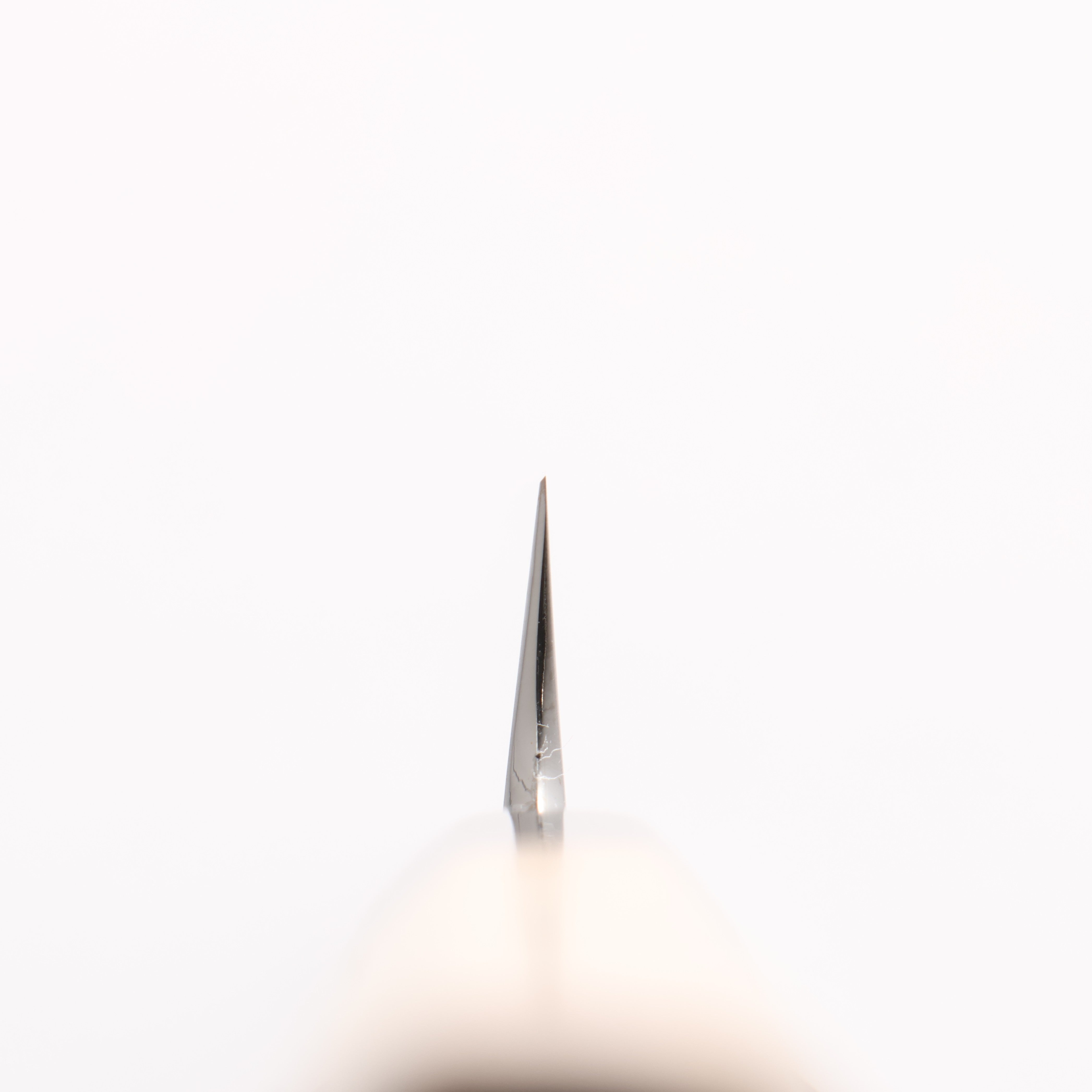 Sakai Kikumori VG10 Mirrored Finish Sakimaru Takohiki 300mm Magnolia Handle - Japanny - Best Japanese Knife