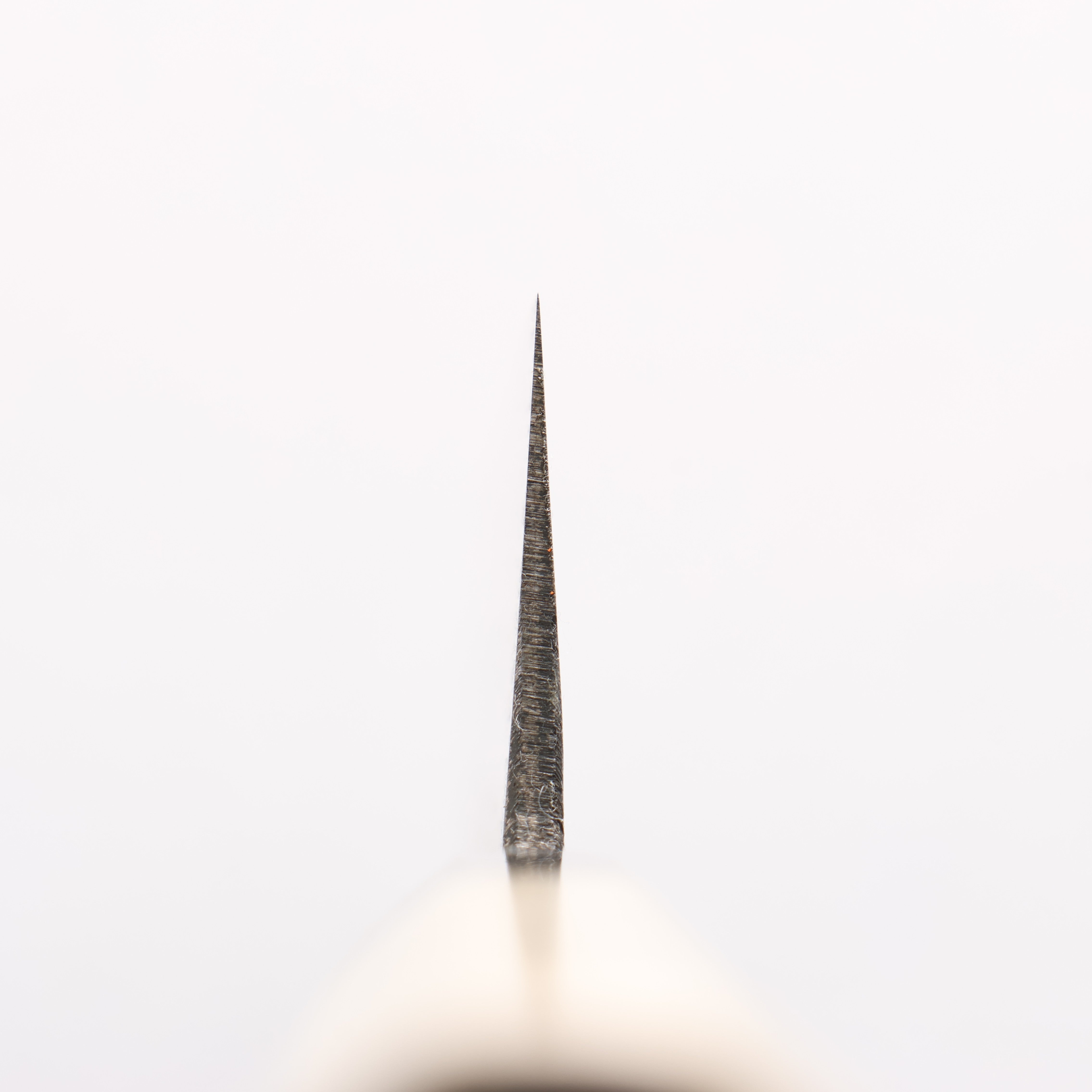 Kikuzuki White Steel No.2 Black Finished Kiritsuke Gyuto 240mm Magnolia Handle - Japanny - Best Japanese Knife