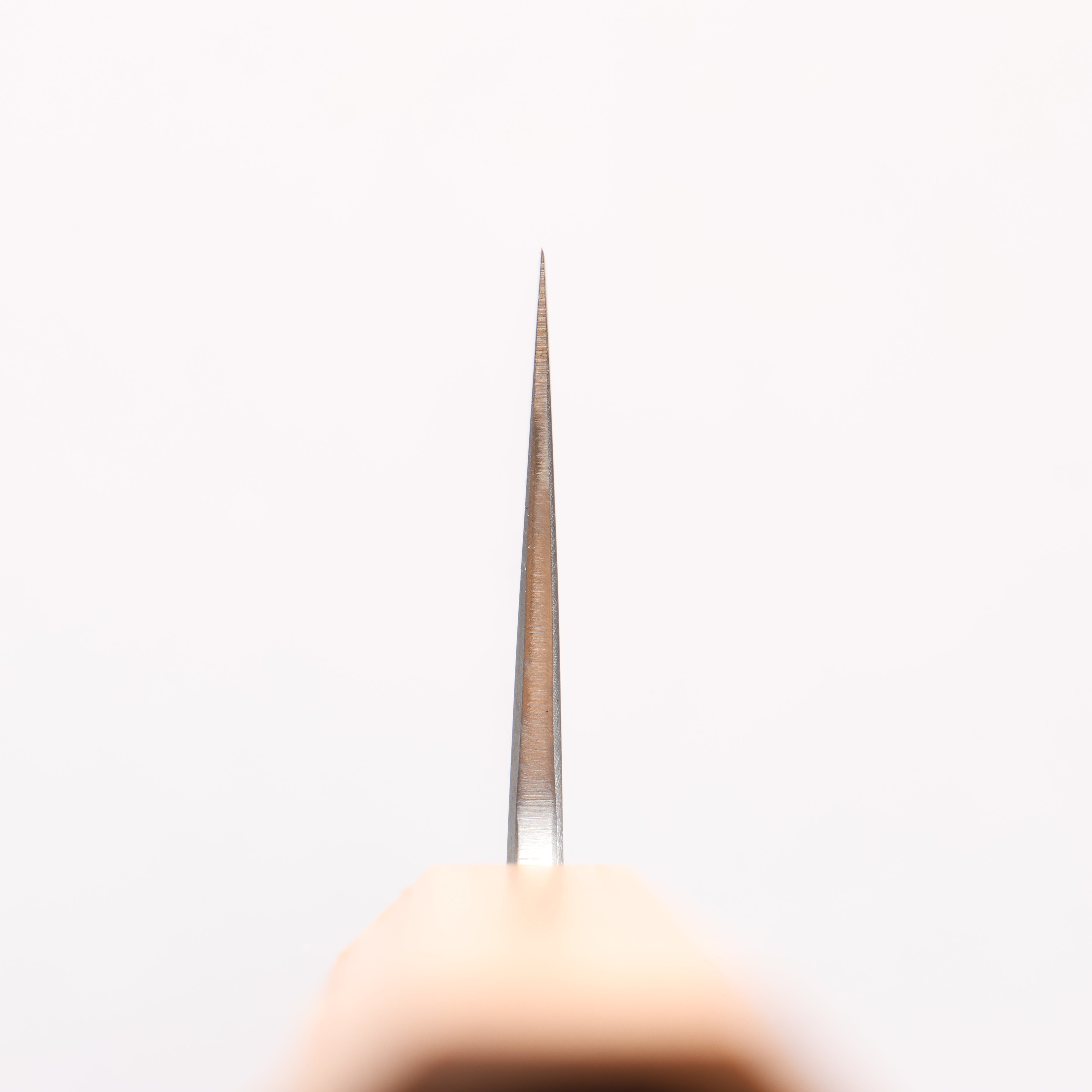 Seisuke Silver Steel No.3 Migaki Polish Finish Kiritsuke Gyuto 240mm White Oak Handle - Japanny - Best Japanese Knife