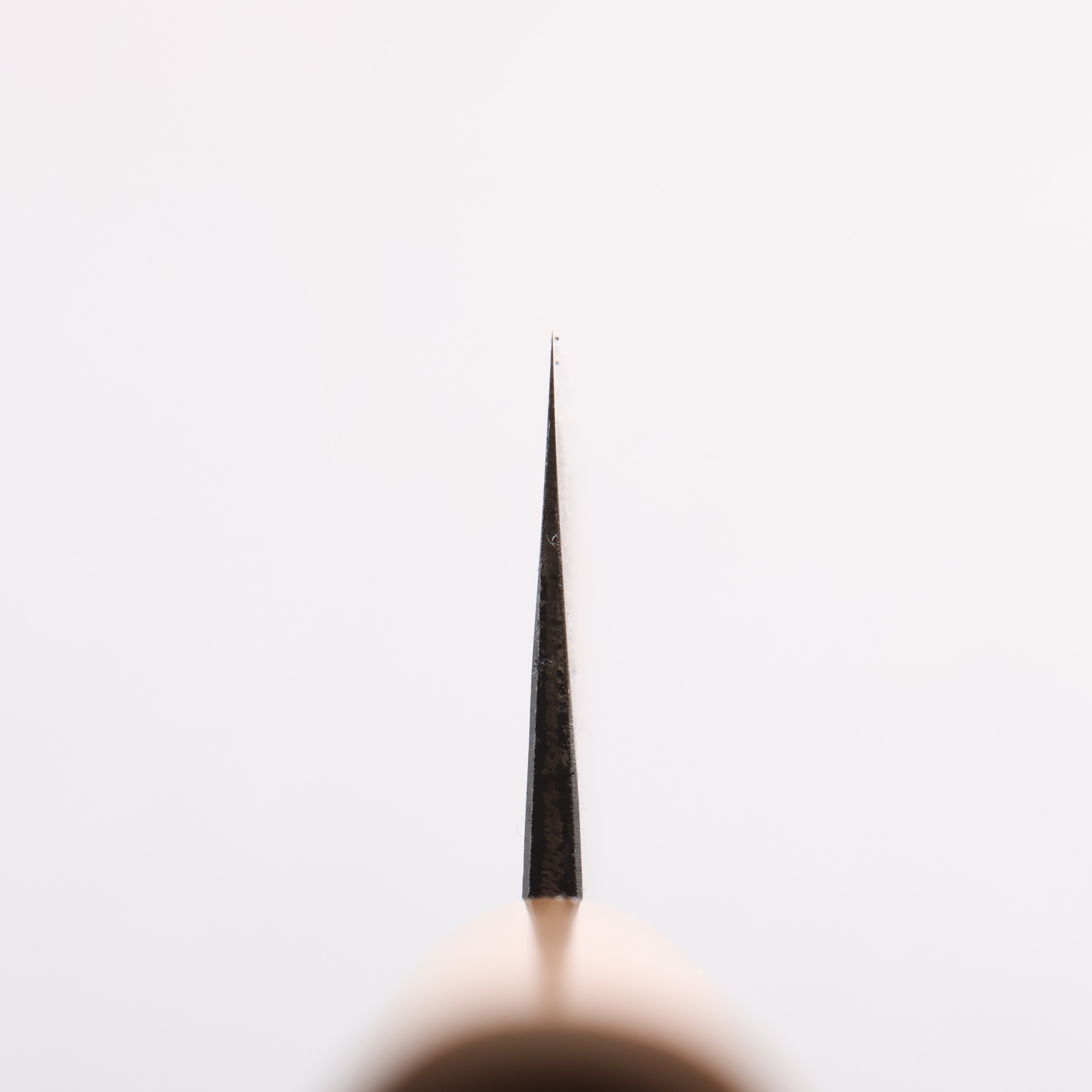 Kouki Blue Steel No.2 Black Finished Small Santoku 150mm American Cherry Handle