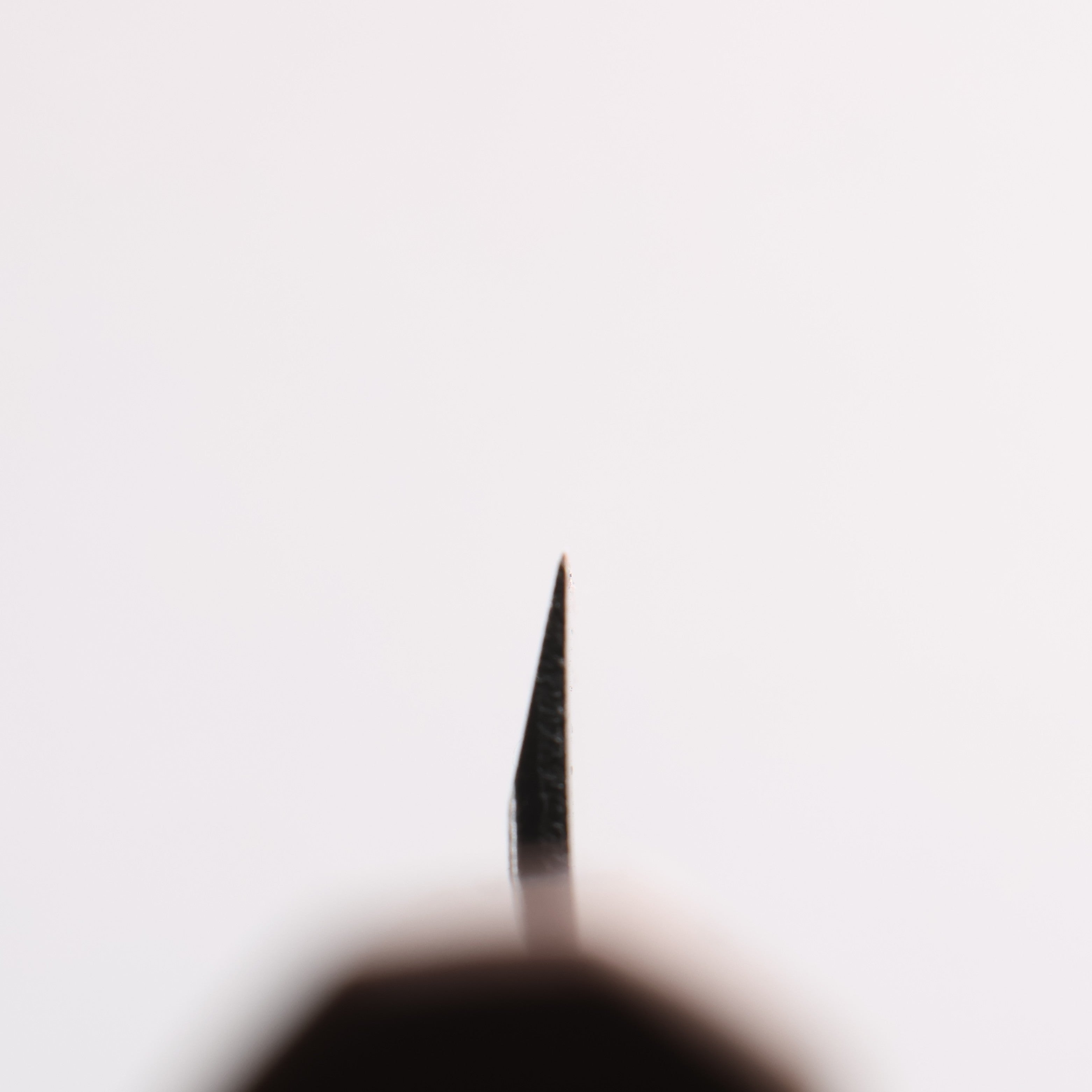 Seisuke Blue Steel No.2 Black Finished Ajikiri 90mm Walnut Handle