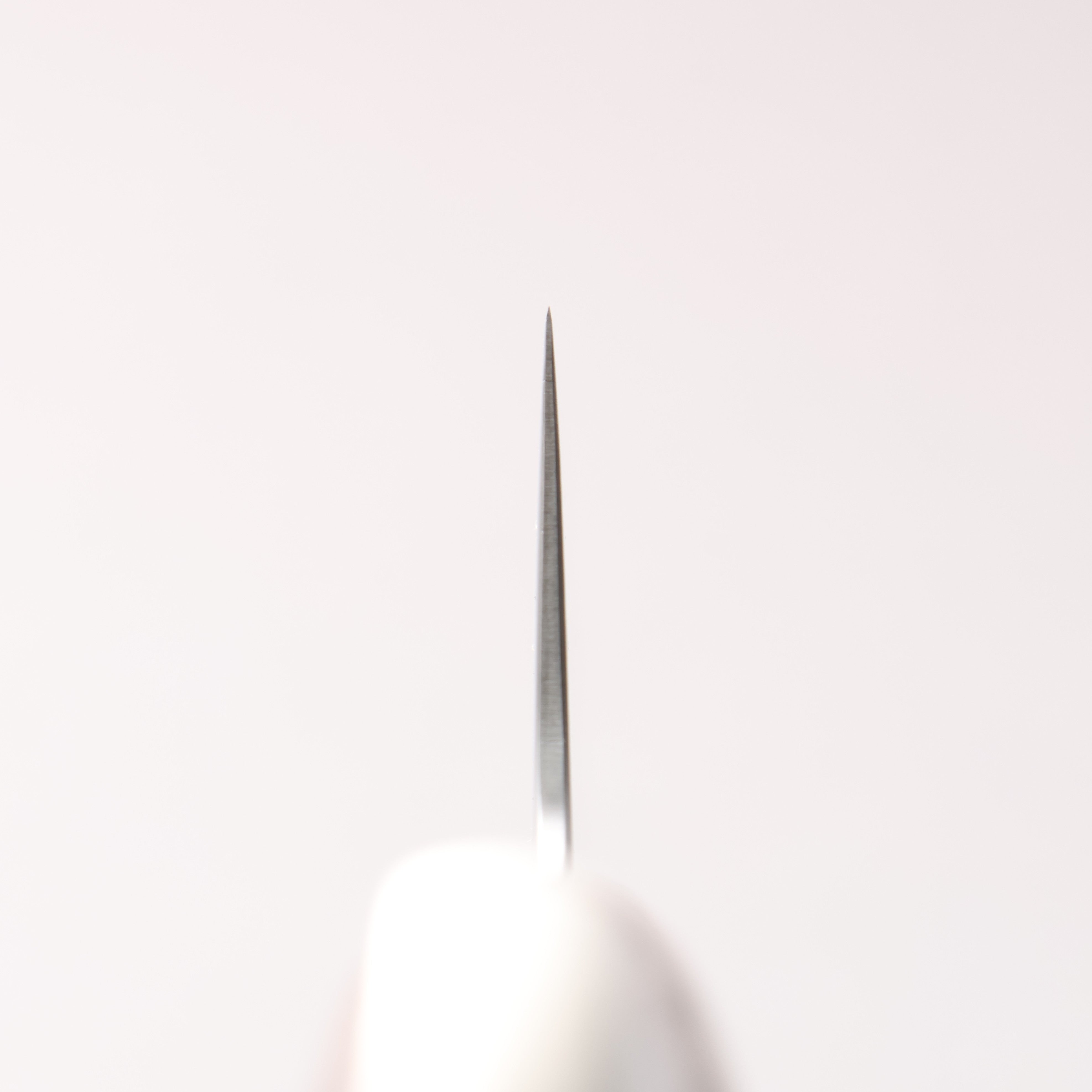 Kajin VG10 Damascus Gyuto 210mm Rosewood Handle