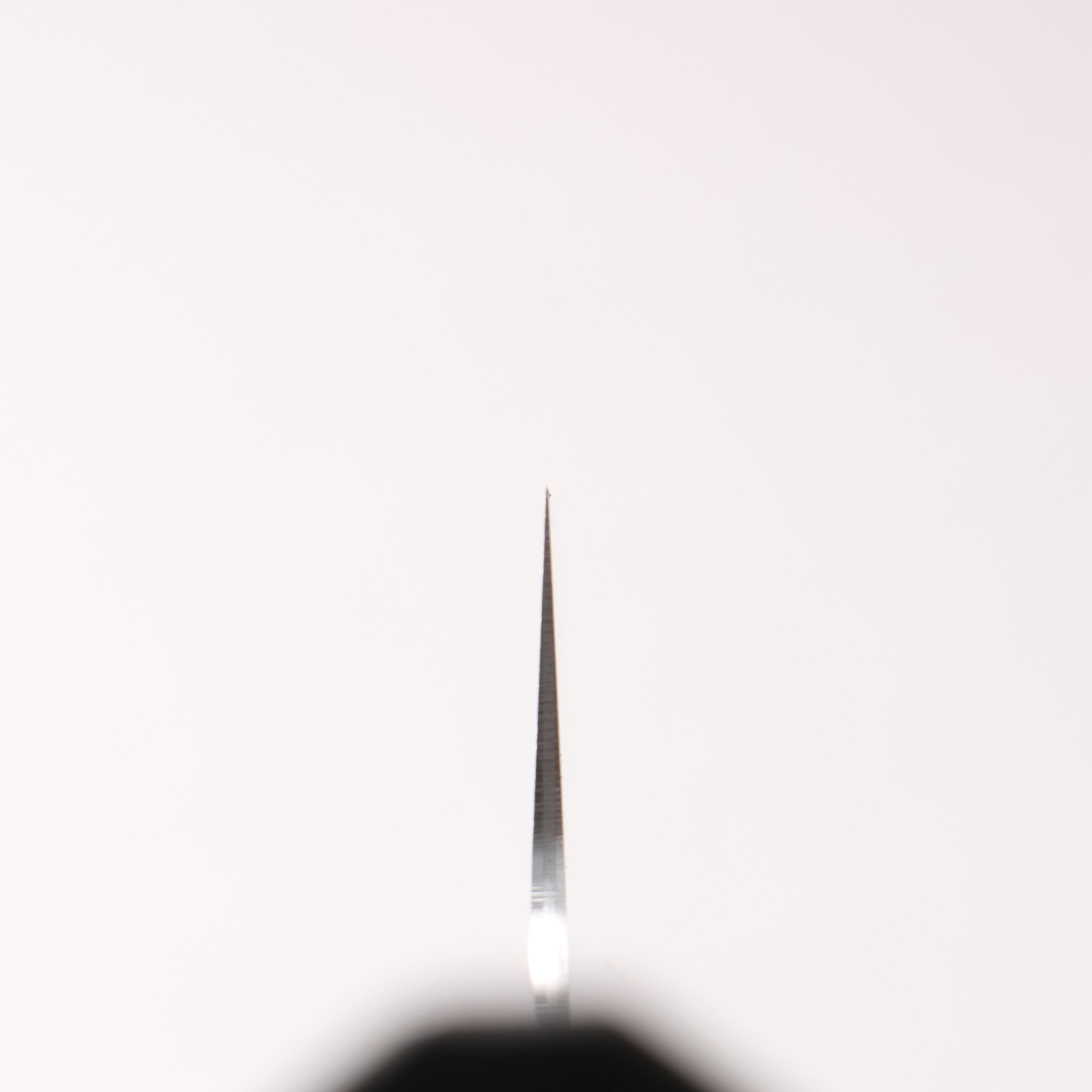 Kanetsune VG10 Kiritsuke Gyuto 210mm Gray Pakka wood Handle - Japanny - Best Japanese Knife