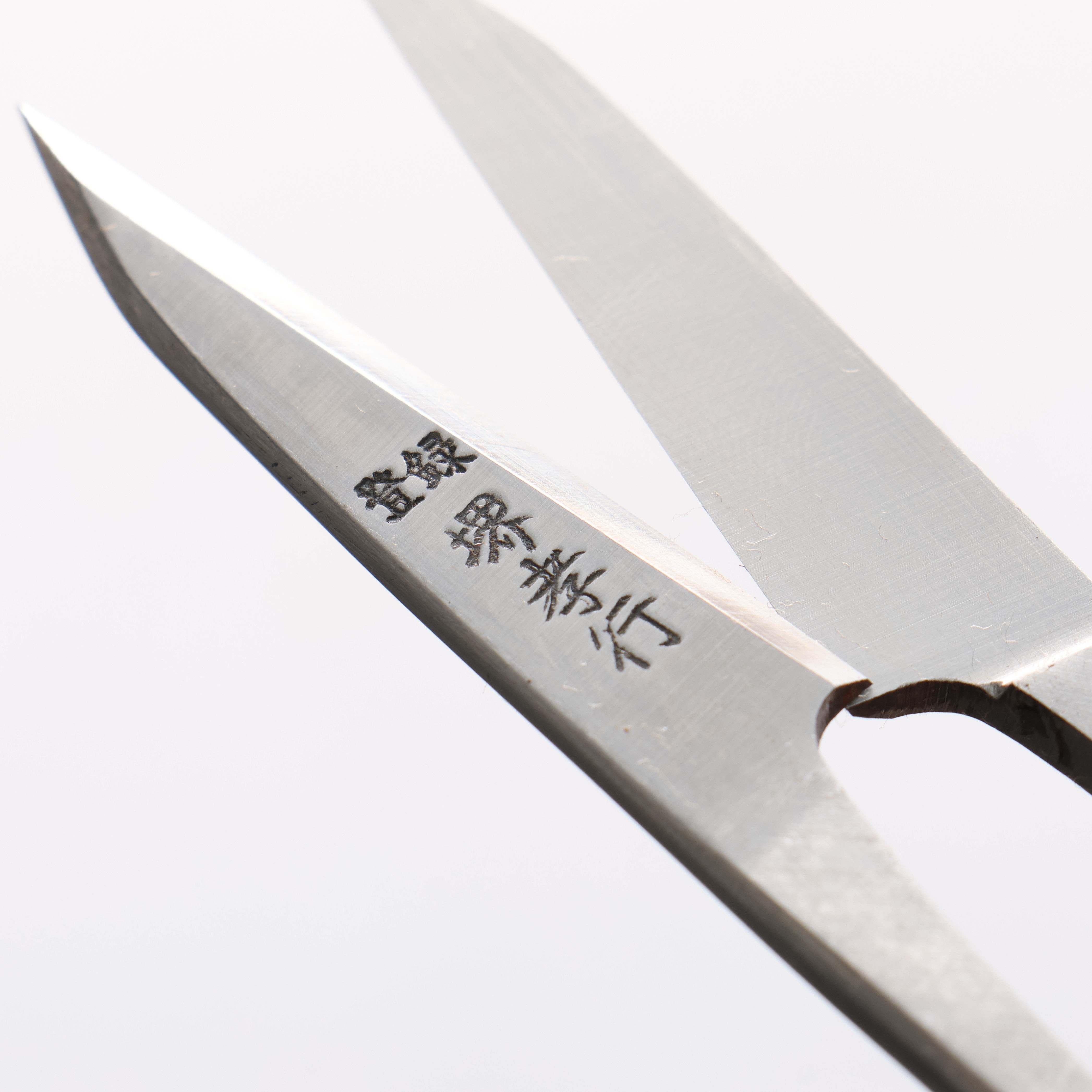 Sakai Takayuki Nigiri Scissors 120mm - Japanny - Best Japanese Knife