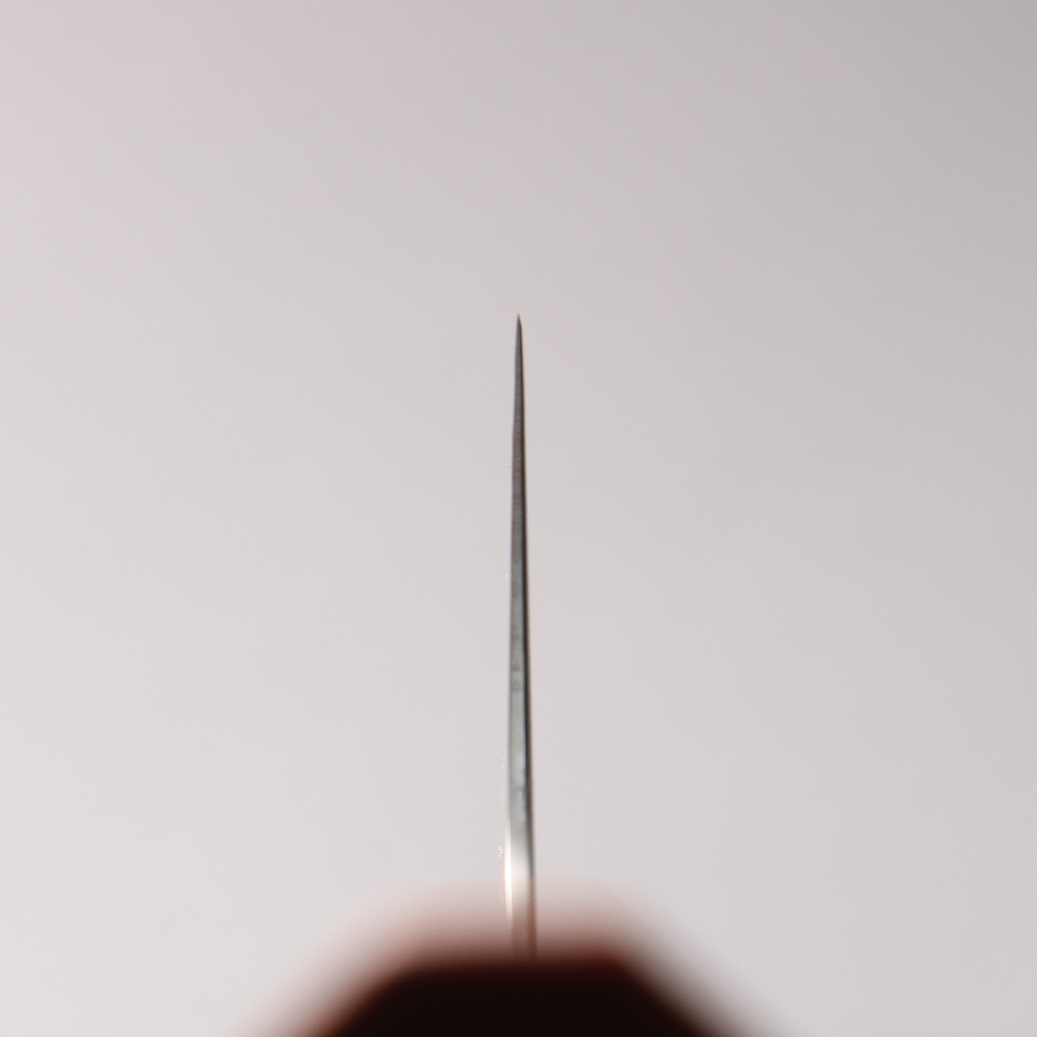 Kanjyo SG2 Damascus Migaki Finished Kiritsuke Gyuto 240mm Brown Stabilized Wood (Silver Rings) Handle - Japanny - Best Japanese Knife