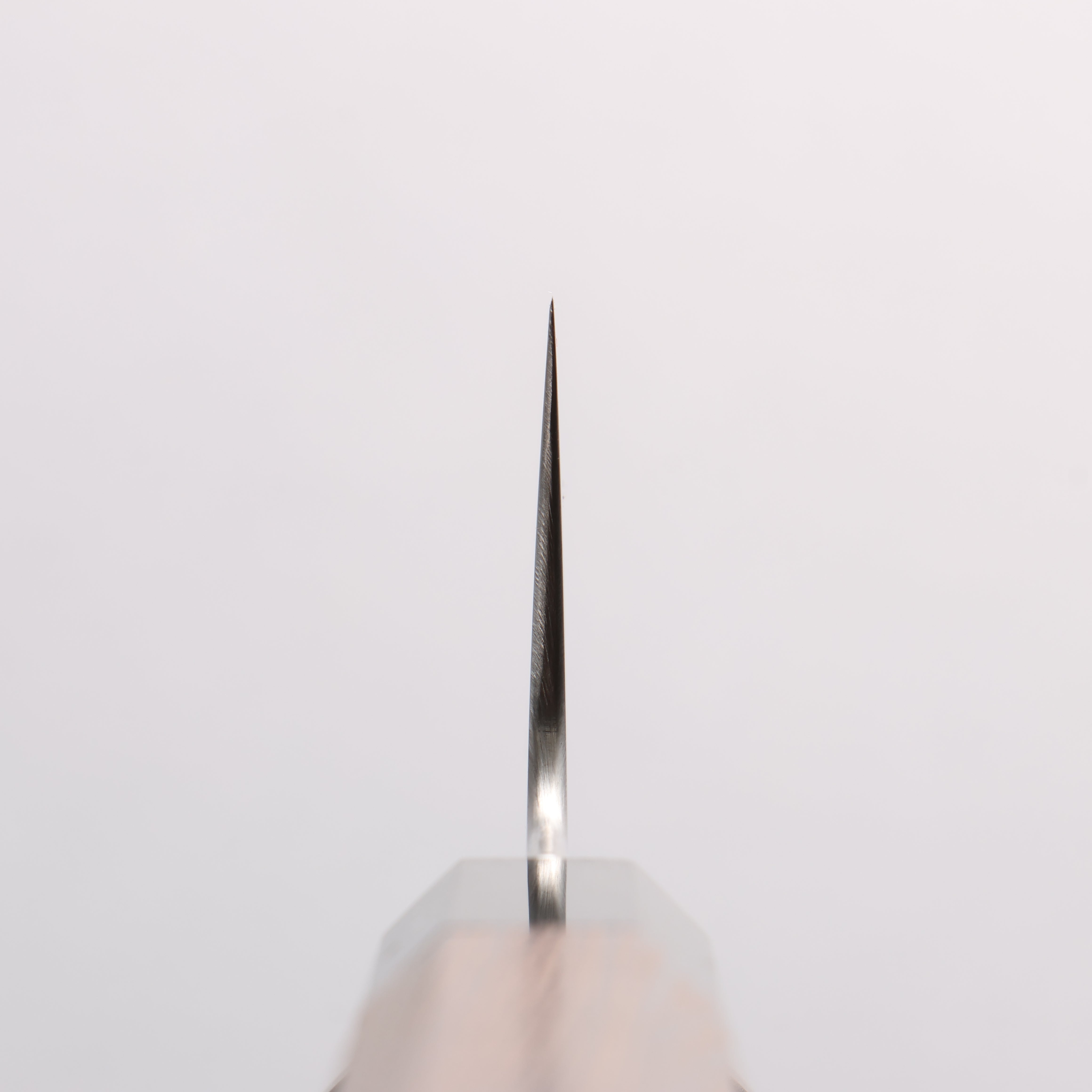 Sukenari SG2 Gyuto 240mm Wenge (ferrule: Black Buffalo Horn) Handle
